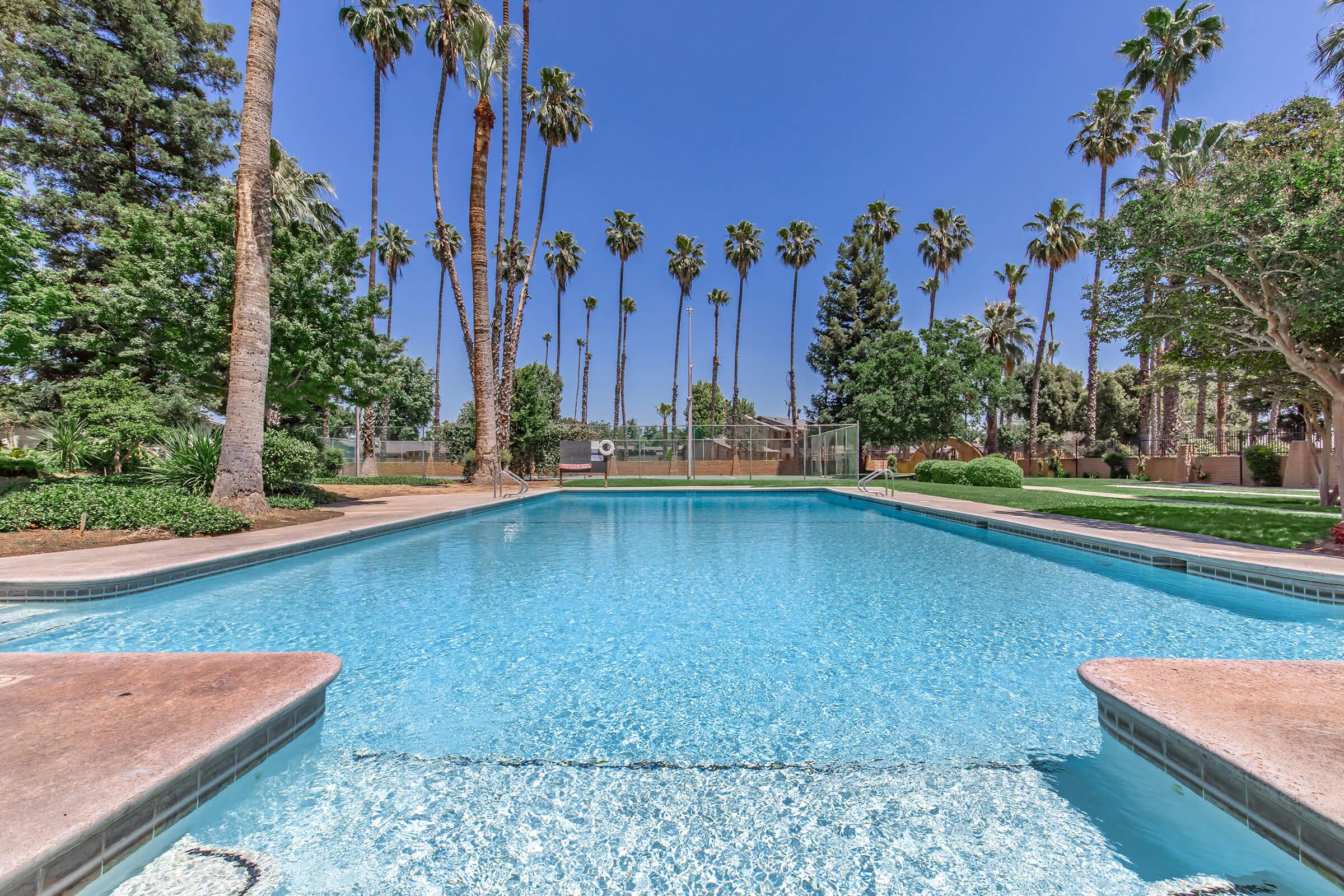 A clear swimming pool surrounded by palm trees and lush greenery under a bright blue sky. The pool has a concrete edge and is inviting on a sunny day, with a fence in the background separating it from a nearby area. Ideal scenery for relaxation and leisure activities.
