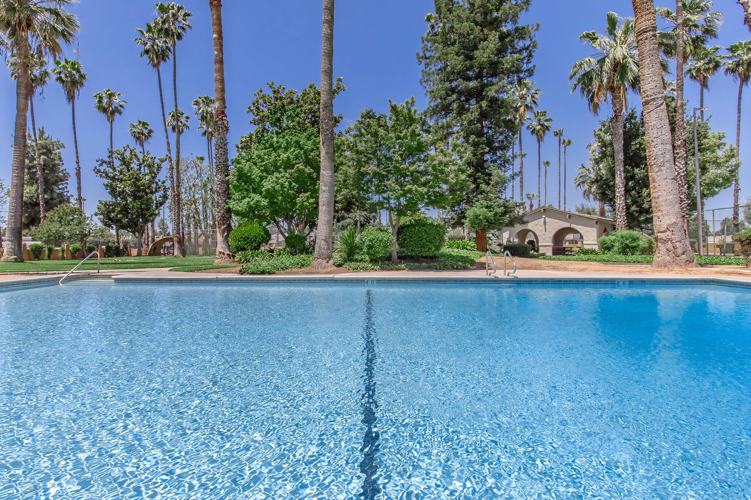 A clear, blue swimming pool surrounded by lush greenery and palm trees under a bright blue sky. The serene environment features manicured lawns and a distant view of buildings, creating a tranquil oasis ideal for relaxation.