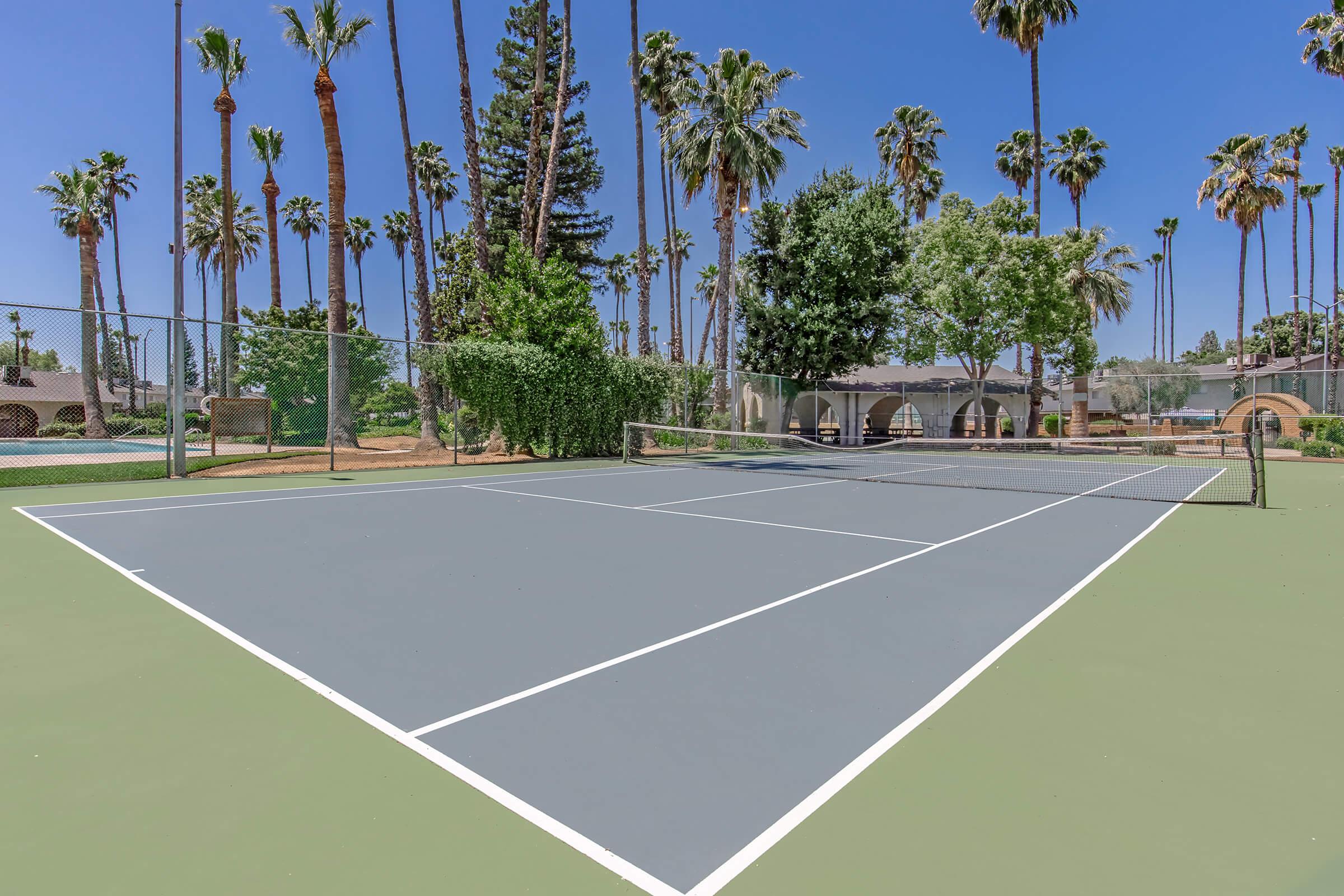 A tennis court with a gray surface surrounded by palm trees and lush greenery under a clear blue sky. The court is empty, featuring white lines and a net in the center, with a residential area visible in the background.