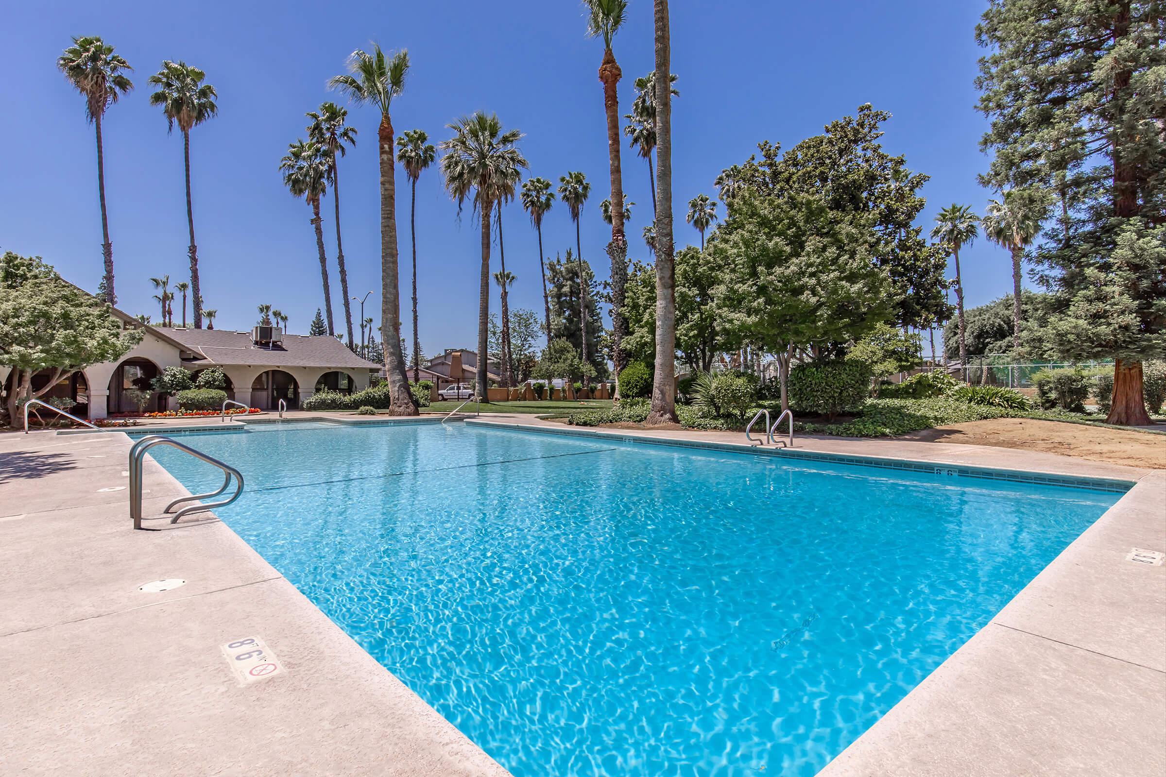 A sunny outdoor swimming pool surrounded by palm trees and lush greenery. The clear blue water reflects the sky, and there are lounge chairs nearby. In the background, you can see a building, providing a serene and inviting atmosphere for relaxation and leisure.