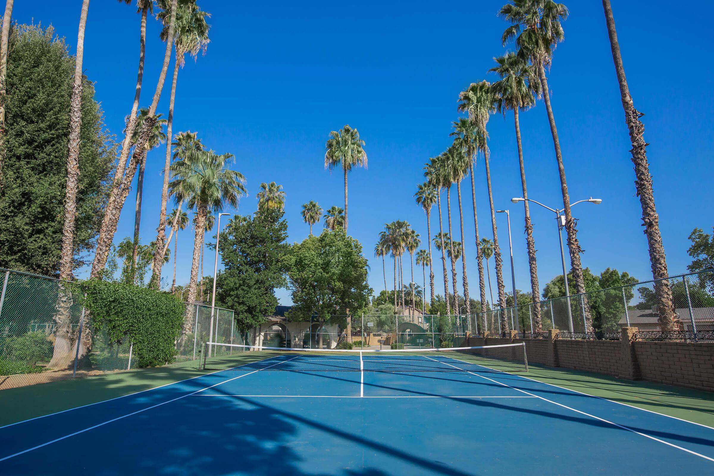 a group of palm trees next to a pool of water