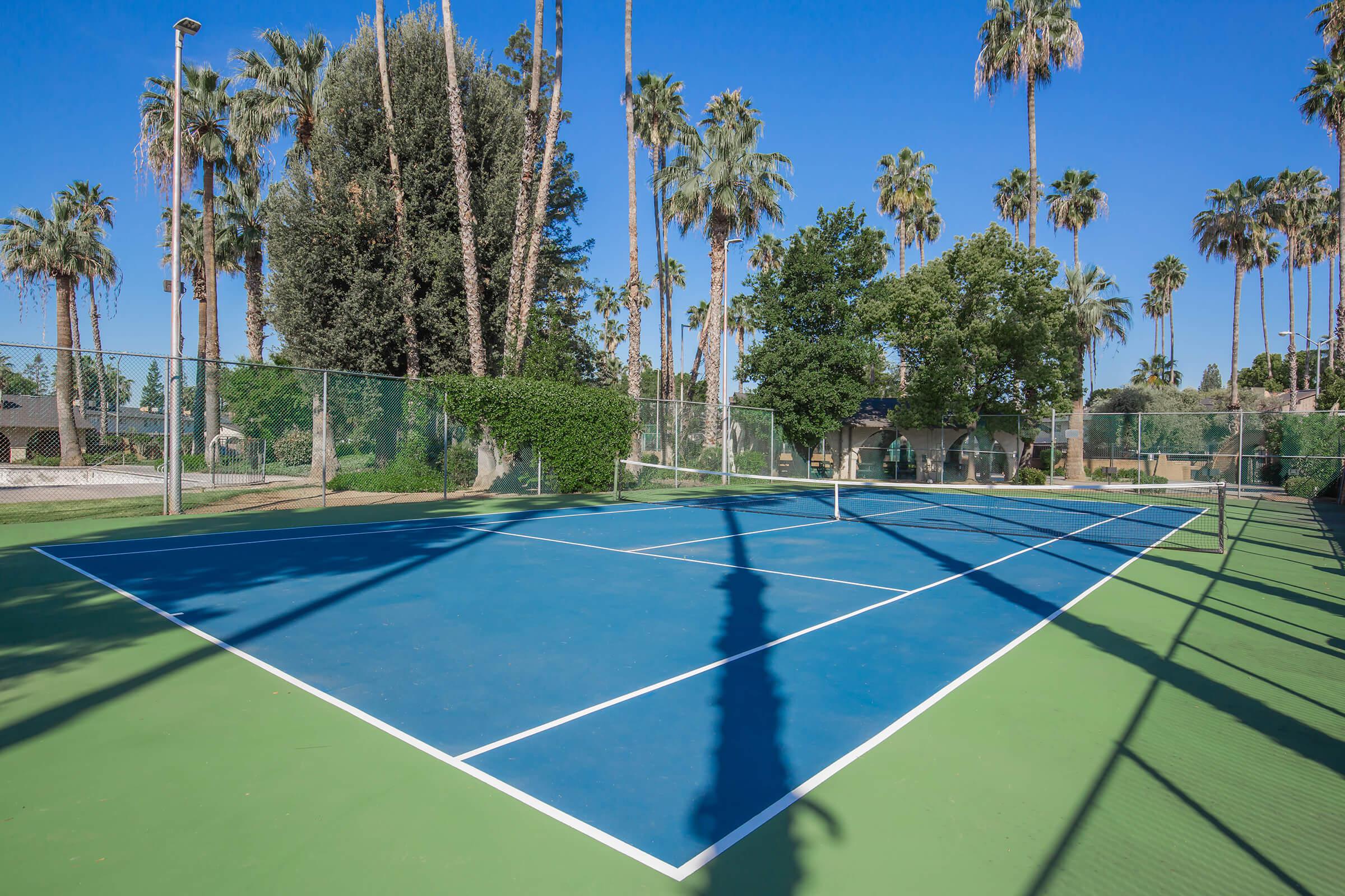 a blue and green court