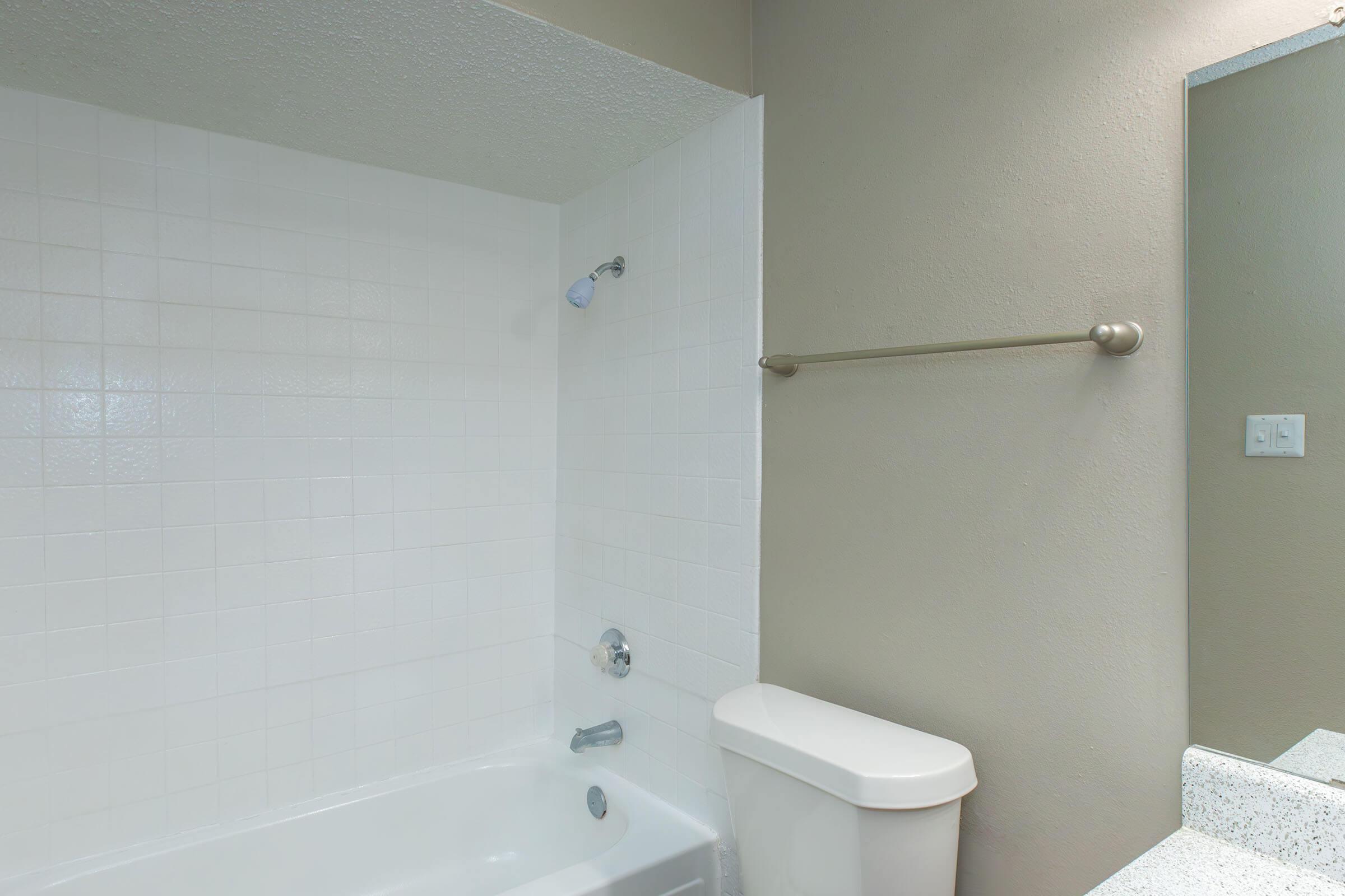 a shower that has a sink and a mirror