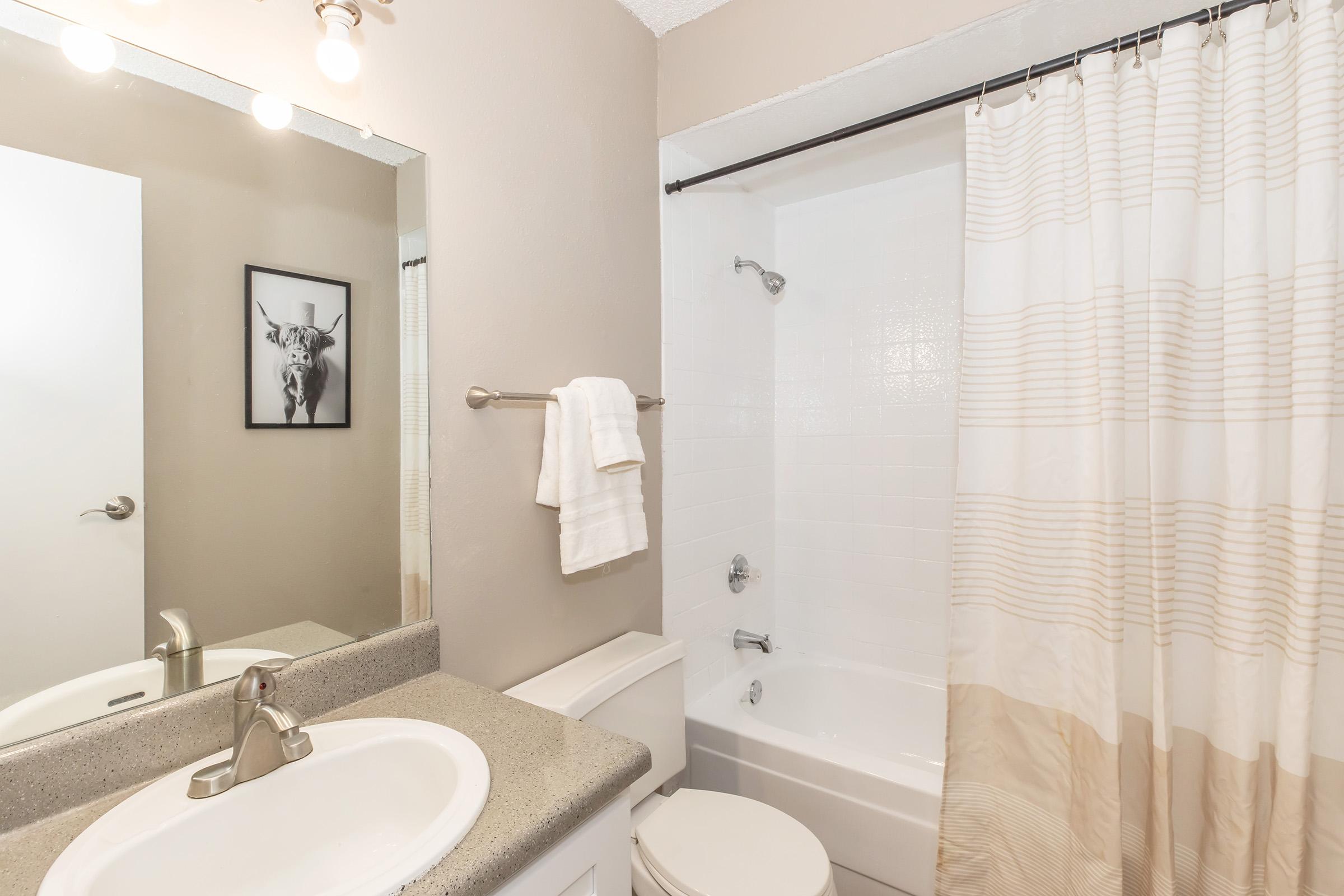 A modern bathroom featuring a white bathtub and shower with a clear shower curtain. A large mirror above a grey countertop, a framed artwork on the wall, and a towel hanging on a rack. The walls are painted in a light color, creating a bright and clean atmosphere.
