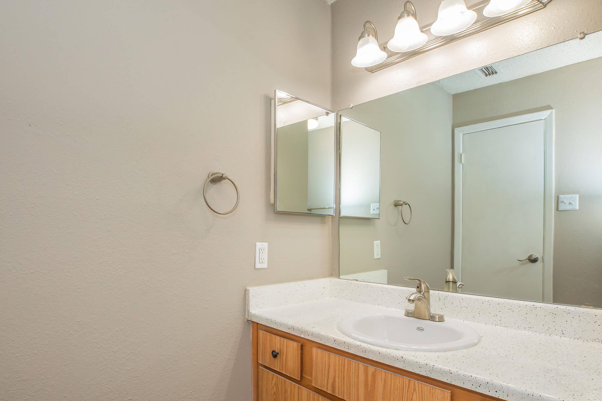 a double sink and large mirror