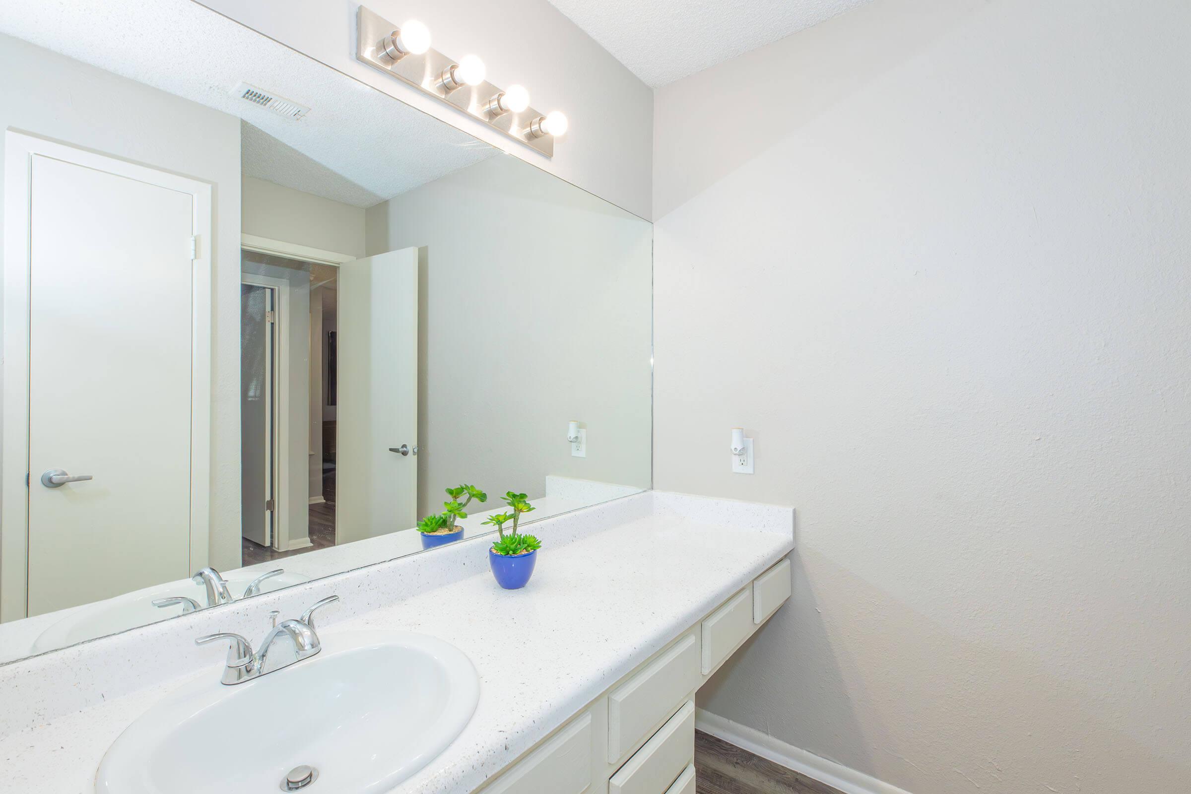A clean, well-lit bathroom featuring a white countertop with a sink, a mirror above, and a small green plant in a blue pot. The walls are light-colored, and there is a door partially open leading to another room. Modern light fixtures are mounted above the mirror.