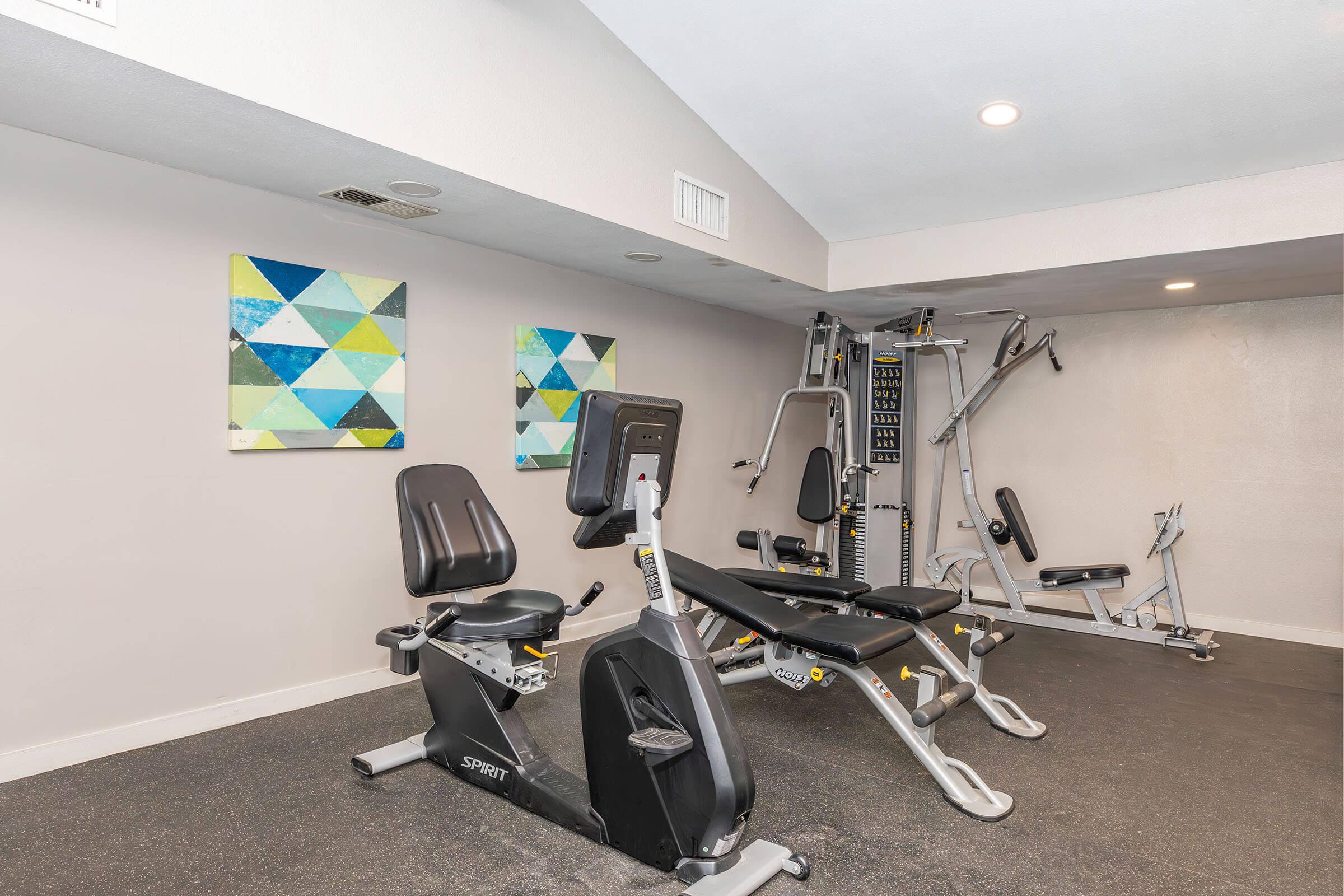 A modern gym interior featuring exercise equipment including a recumbent bike and a multi-station weight machine. The walls are adorned with two colorful geometric art pieces, and the flooring is dark, enhancing the contemporary feel of the space.