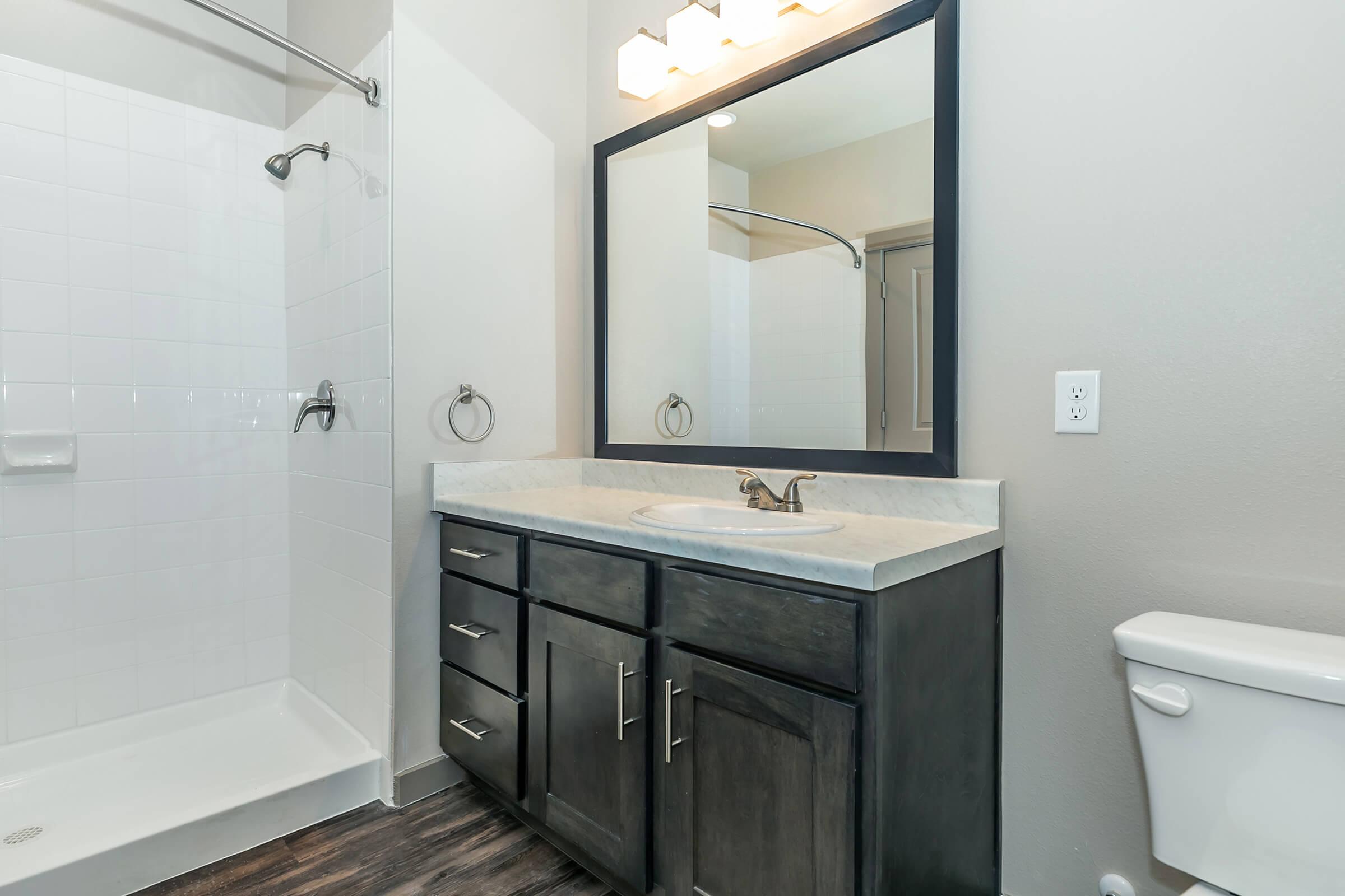 a shower that has a sink and a mirror