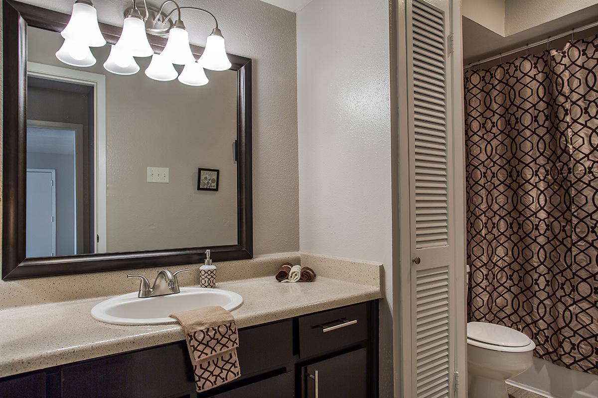 a double sink and large mirror