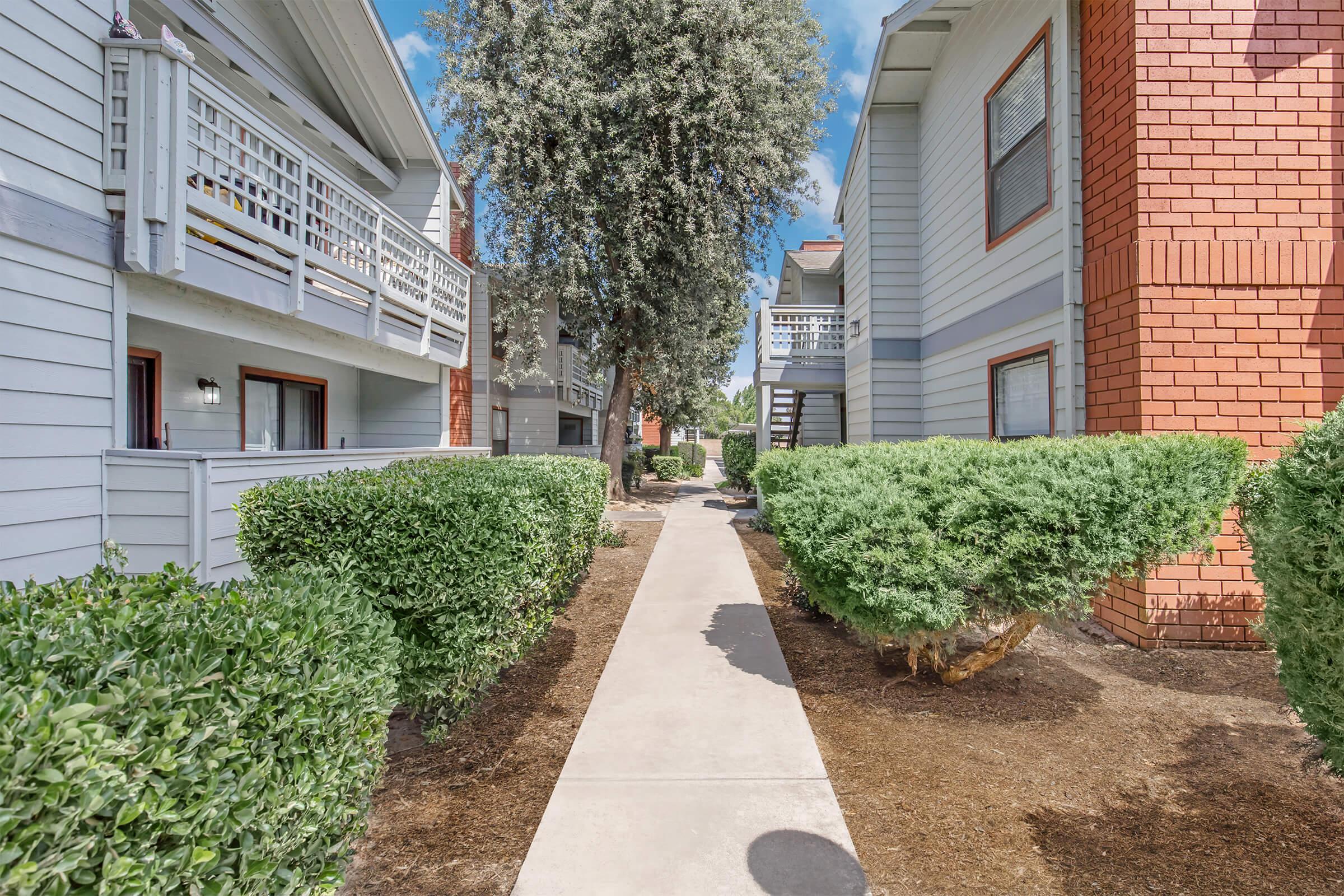 A clear walkway bordered by neatly trimmed hedges leads through an apartment complex. The path runs between two multi-story buildings, one with a brick exterior and the other painted light gray. Green trees and shrubs add greenery, and the sky above is bright and blue.