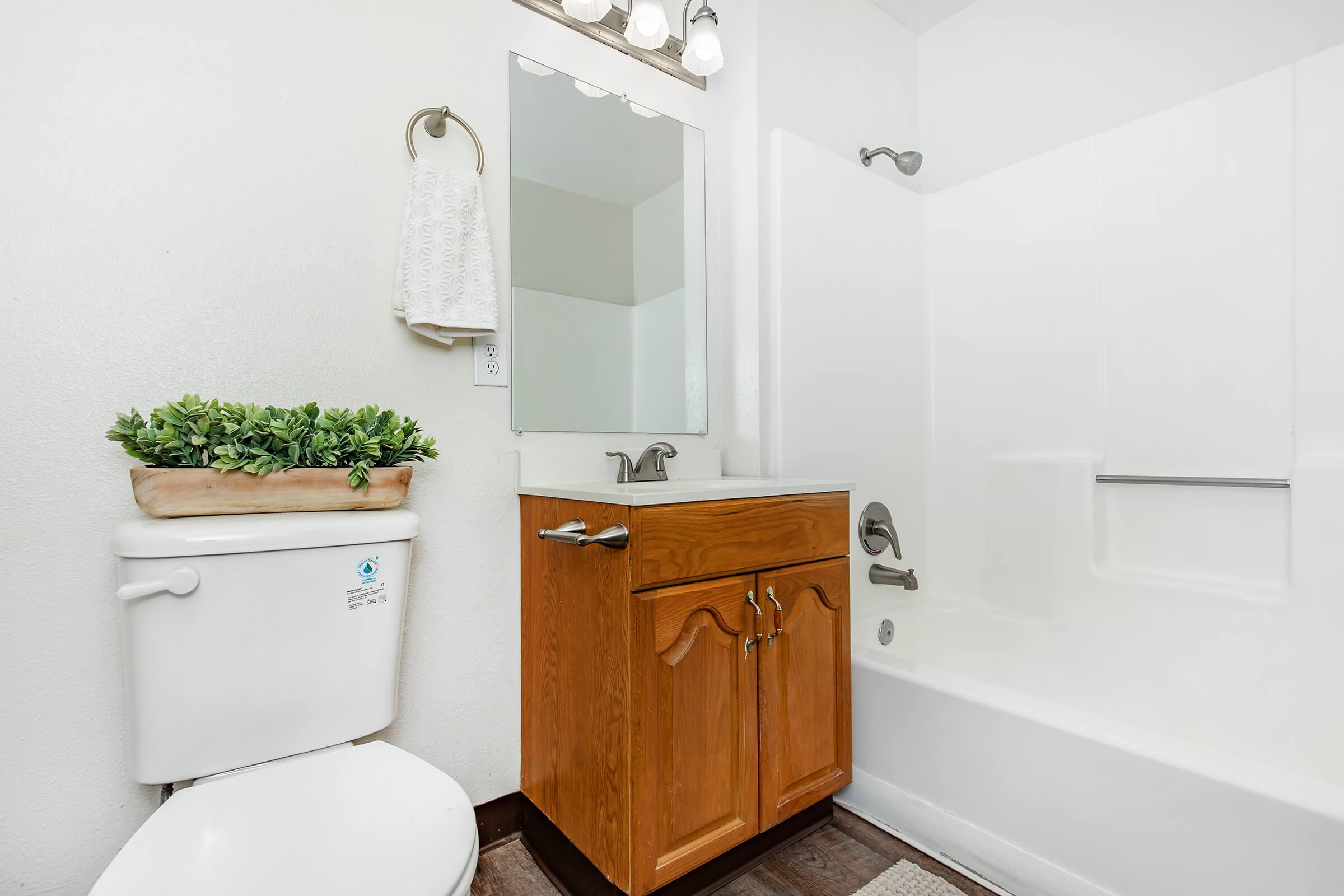 A clean and modern bathroom featuring a white bathtub with a shower, a wooden vanity with an under-sink cabinet, a mirror above the sink, and a toilet. A decorative plant is placed on top of the vanity. The walls are painted white, and the flooring appears to be wooden. Bright lighting is provided by overhead fixtures.