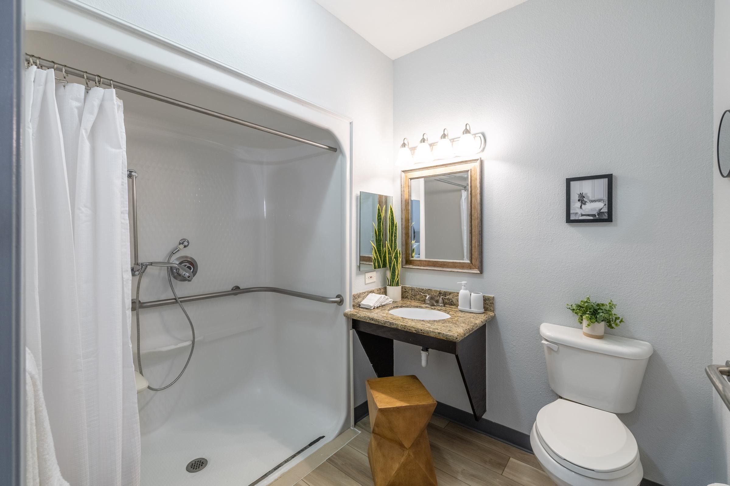 A clean and modern bathroom featuring a walk-in shower with a white curtain, a granite countertop with a small sink, a framed mirror, a potted plant, and a wooden stool. There’s also a toilet positioned next to the shower, with neutral-colored walls and wood-look flooring.