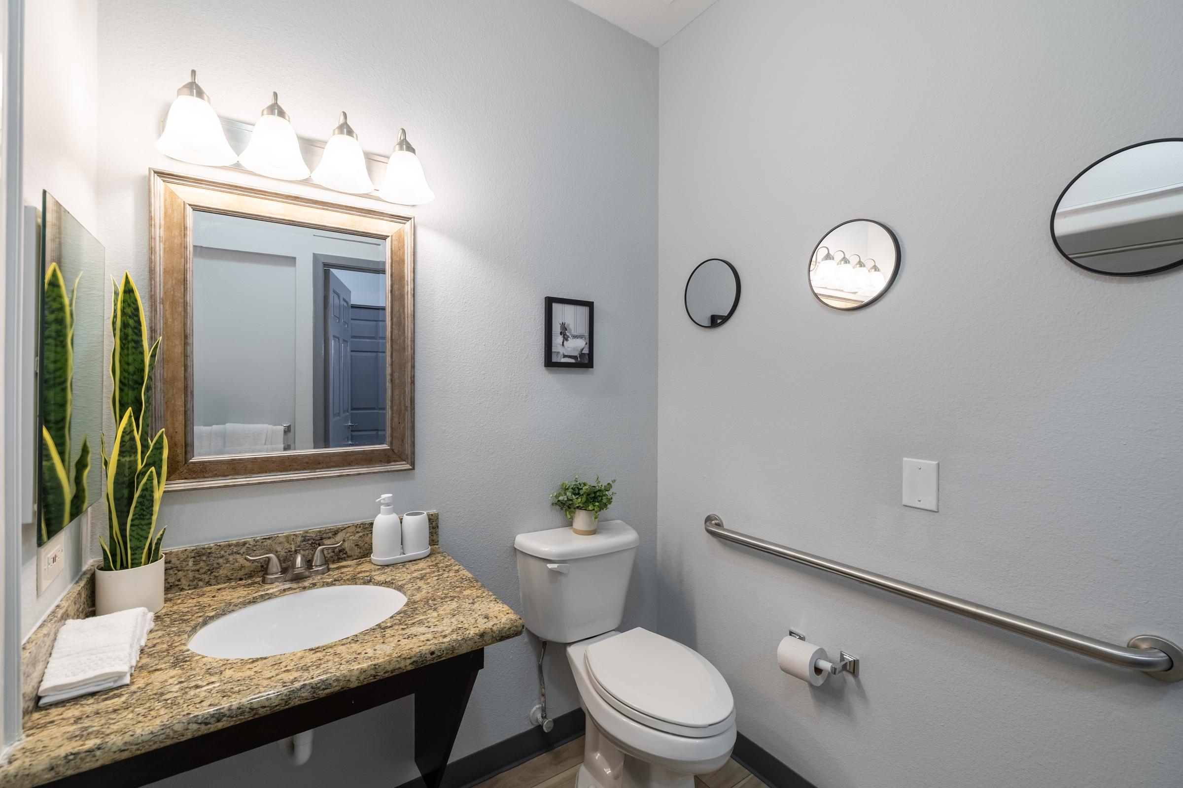 A modern bathroom featuring a granite countertop with a sink, a large mirror above, and stylish lighting fixtures. The room includes a toilet, handrails for accessibility, and decorative elements such as potted plants and framed artwork on the wall. The wall color is a soft gray, creating a clean and inviting atmosphere.