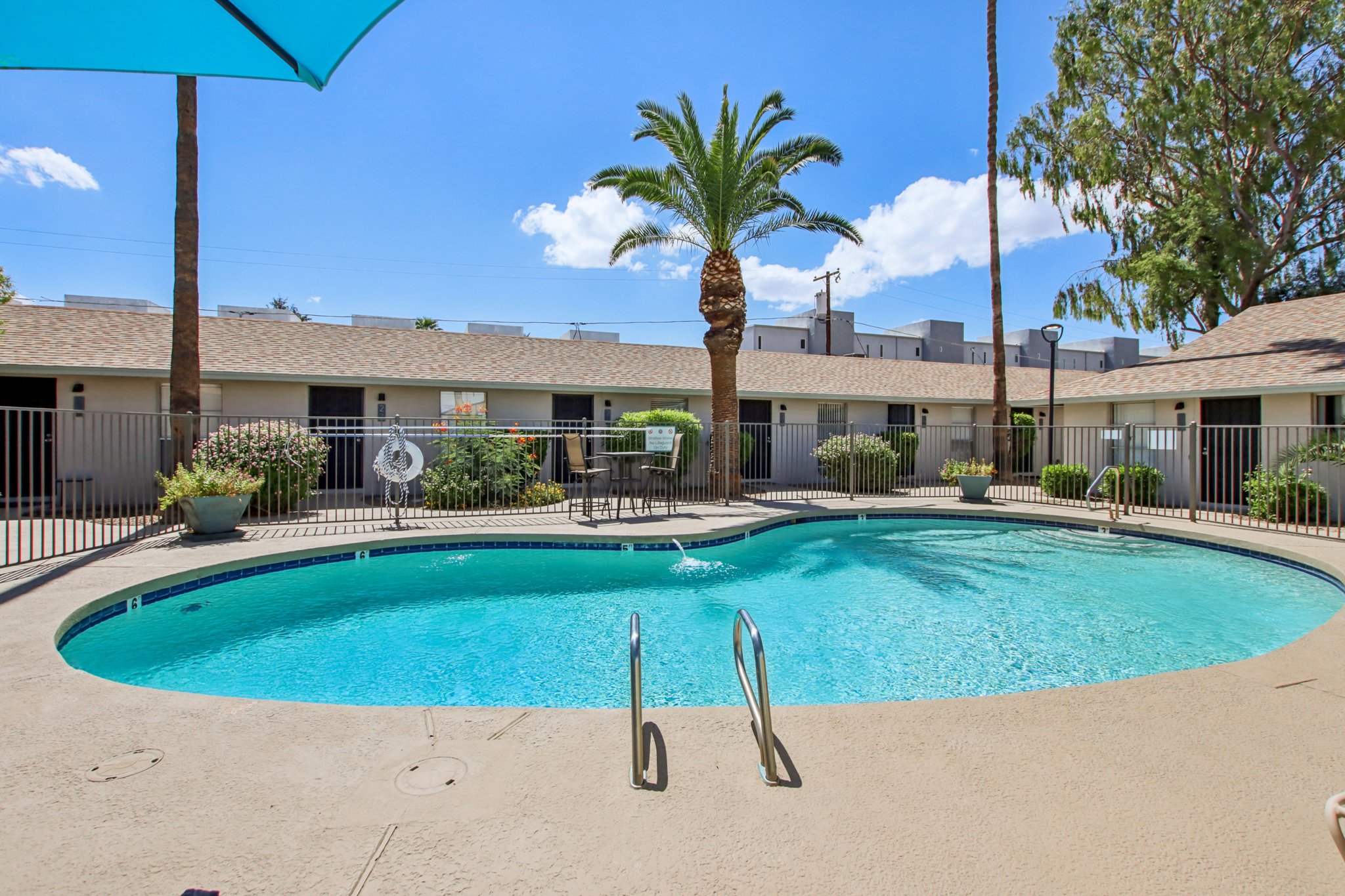 A clear blue swimming pool surrounded by a paved area and greenery. Palm trees and shrubs are visible around the pool, with a few lounge chairs nearby. The background features a single-story building with several windows under a sunny sky. An umbrella provides shade in part of the scene.