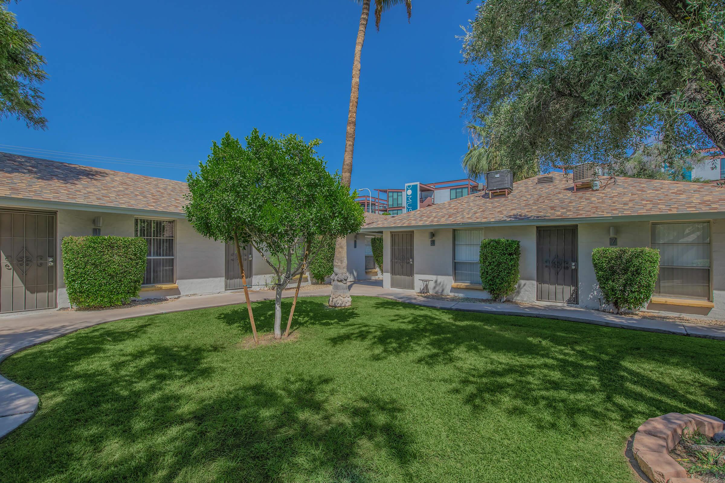 A sunny courtyard with well-maintained grass and a small tree, surrounded by two single-story buildings. The buildings have brown doors and windows with white trim, shaded by palm trees. The clear blue sky enhances the tranquil outdoor space.