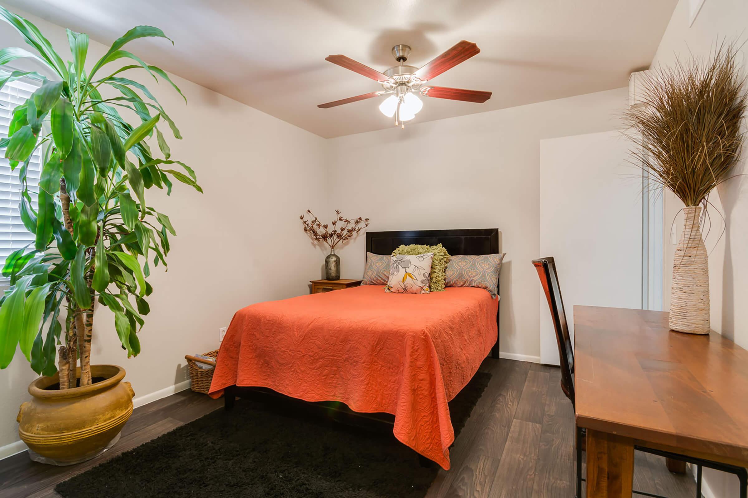 a living room next to a palm tree on a table