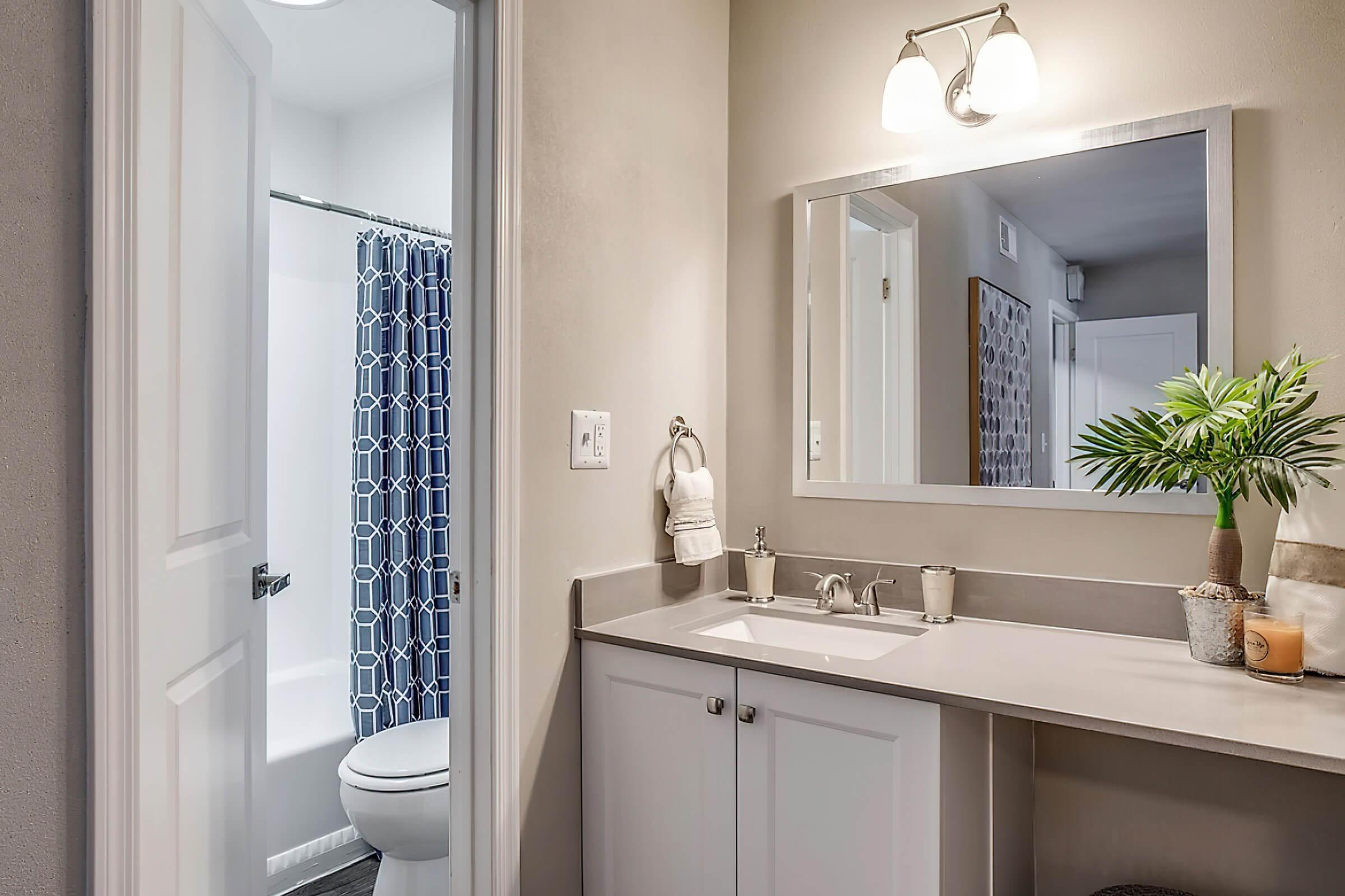 A modern bathroom featuring a white vanity with a sink, a large mirror, and decorative items. A blue patterned shower curtain partially obscures a bathtub. The space is well-lit with a wall-mounted light fixture, and a potted plant adds a touch of greenery. White towels hang on a hook.