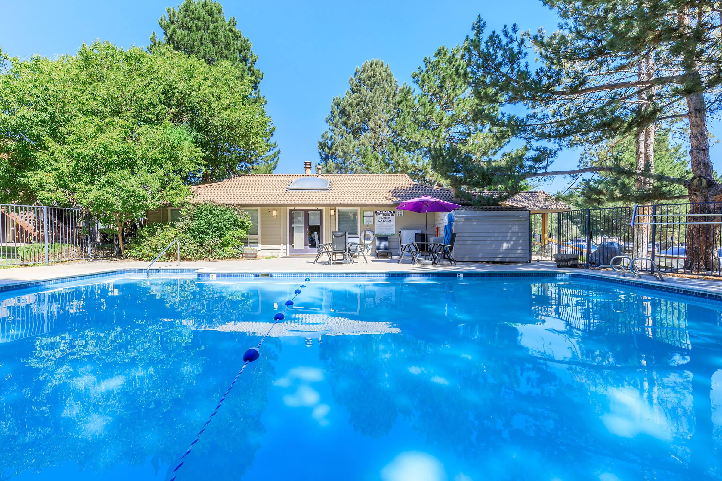 A serene outdoor pool surrounded by a fenced area, with a clear blue sky overhead. Lush green trees line the background, providing shade. A small building with a tile roof stands nearby, featuring tables and chairs for relaxation. An umbrella adds a pop of color beside the pool.