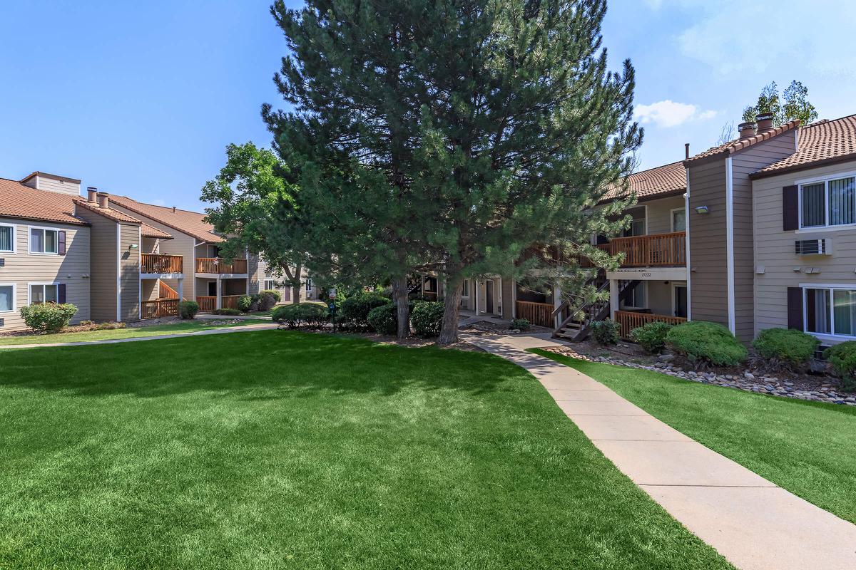 a large lawn in front of a house