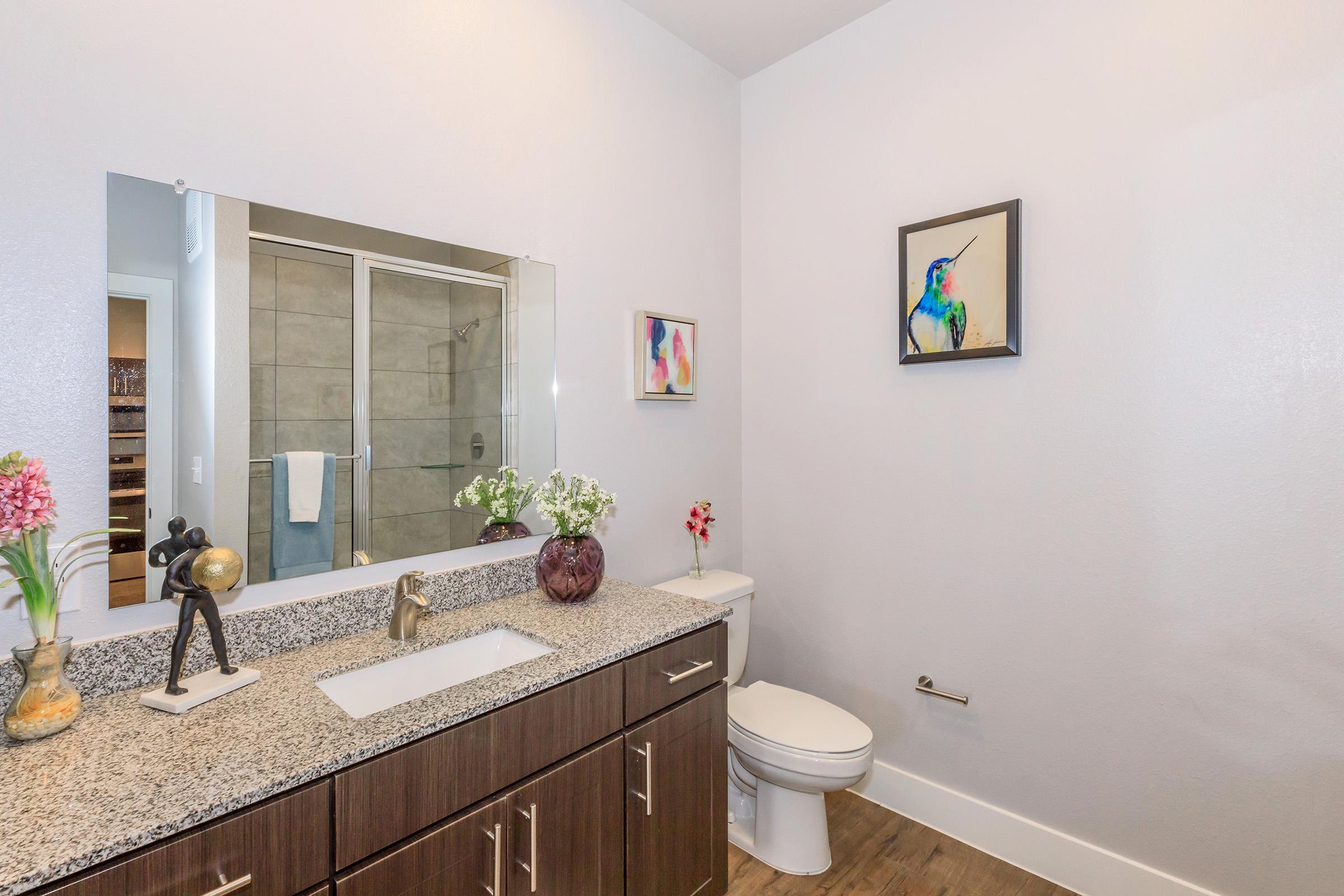 A modern bathroom featuring a double sink vanity with a granite countertop, a large mirror, and a colorful artwork of a hummingbird on the wall. The space is well-lit, with a glass shower enclosure in the background and decorative plants on the countertop, creating a fresh and inviting atmosphere.