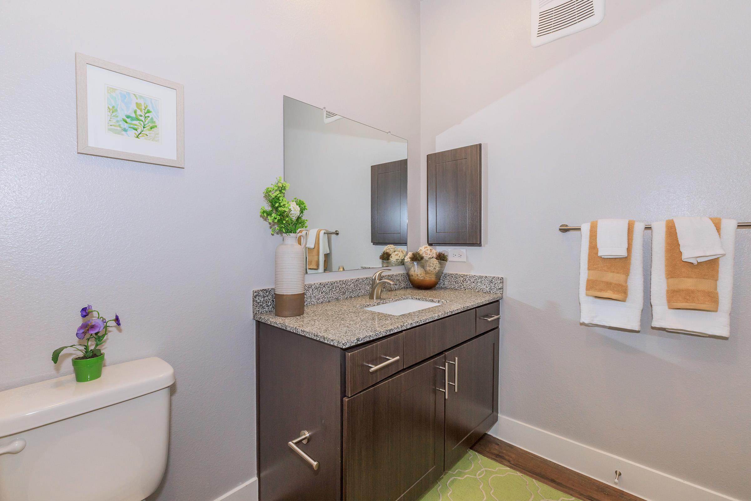 Modern bathroom featuring a granite countertop, dark wooden cabinetry, a round sink, and a mirror with framed artwork above. Hand towels on a rack, a small potted plant, and decorative accents add a touch of elegance to the space. Soft green rug complements the neutral wall color.