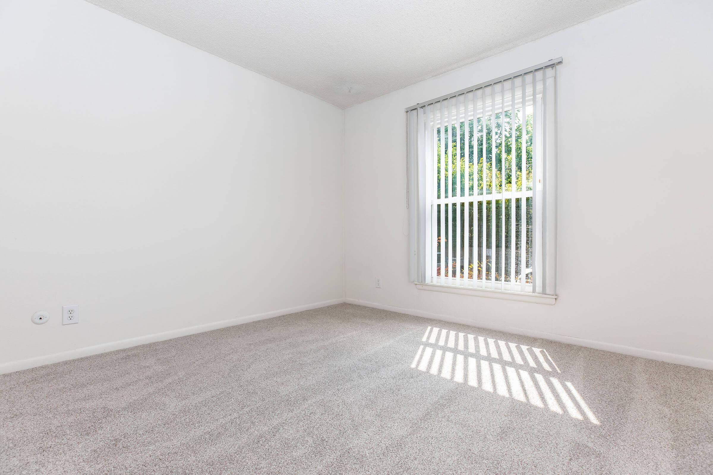 Empty room featuring light-colored carpet and white walls. A window with vertical blinds lets in natural light, casting shadows on the floor. The space appears clean and modern, suitable for various purposes or decoration.