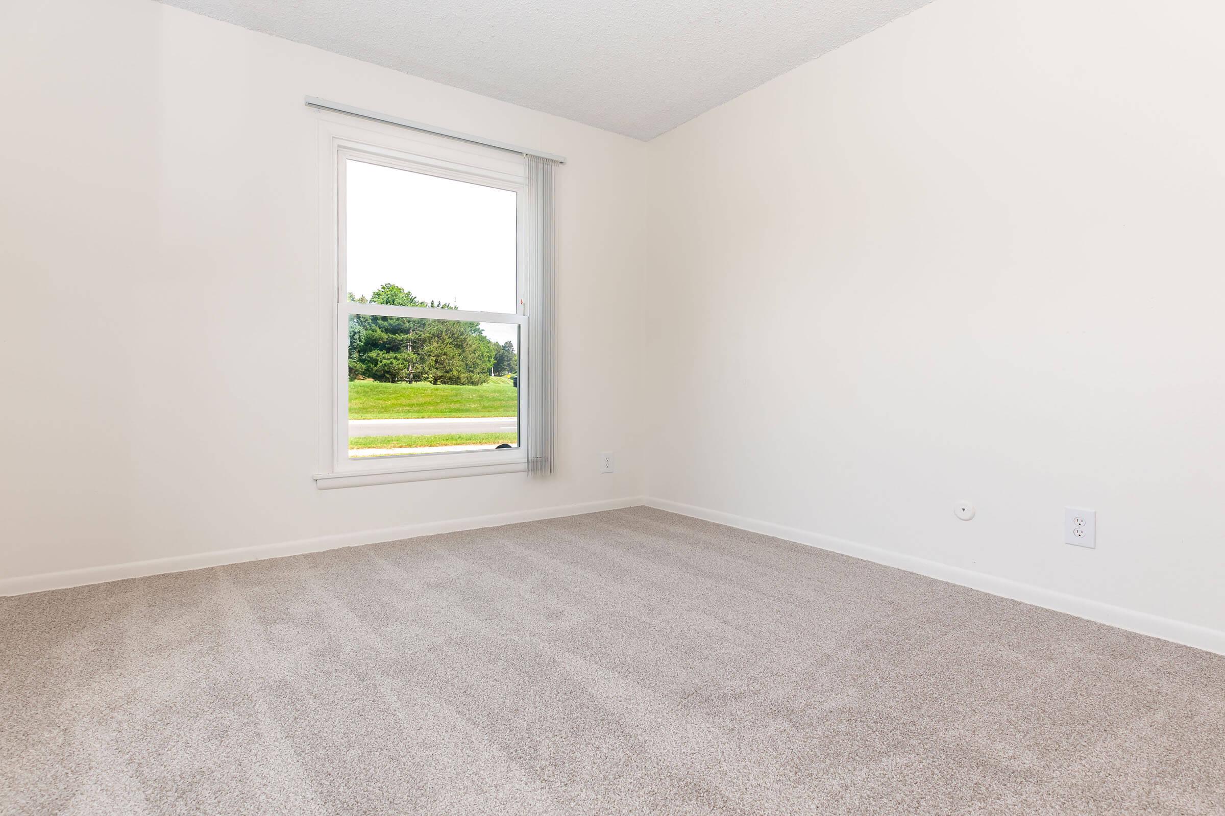 Empty room with light-colored walls and new beige carpet. A single window with blinds provides natural light, showing a view of green trees and grass outside. The room has no furniture and appears spacious and well-maintained.
