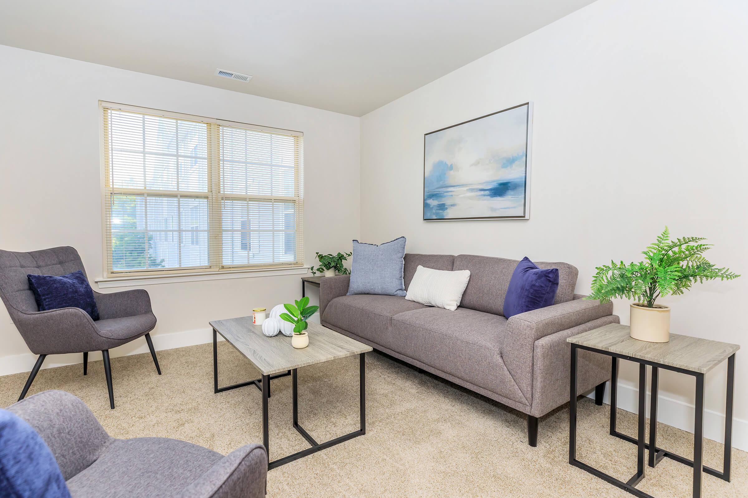 A modern living room featuring a gray sofa with decorative pillows, two stylish armchairs, a wooden coffee table, and side tables. Sunlight streams through a large window with blinds, illuminating a light-colored wall and accentuating potted plants. An abstract artwork hangs on the wall.
