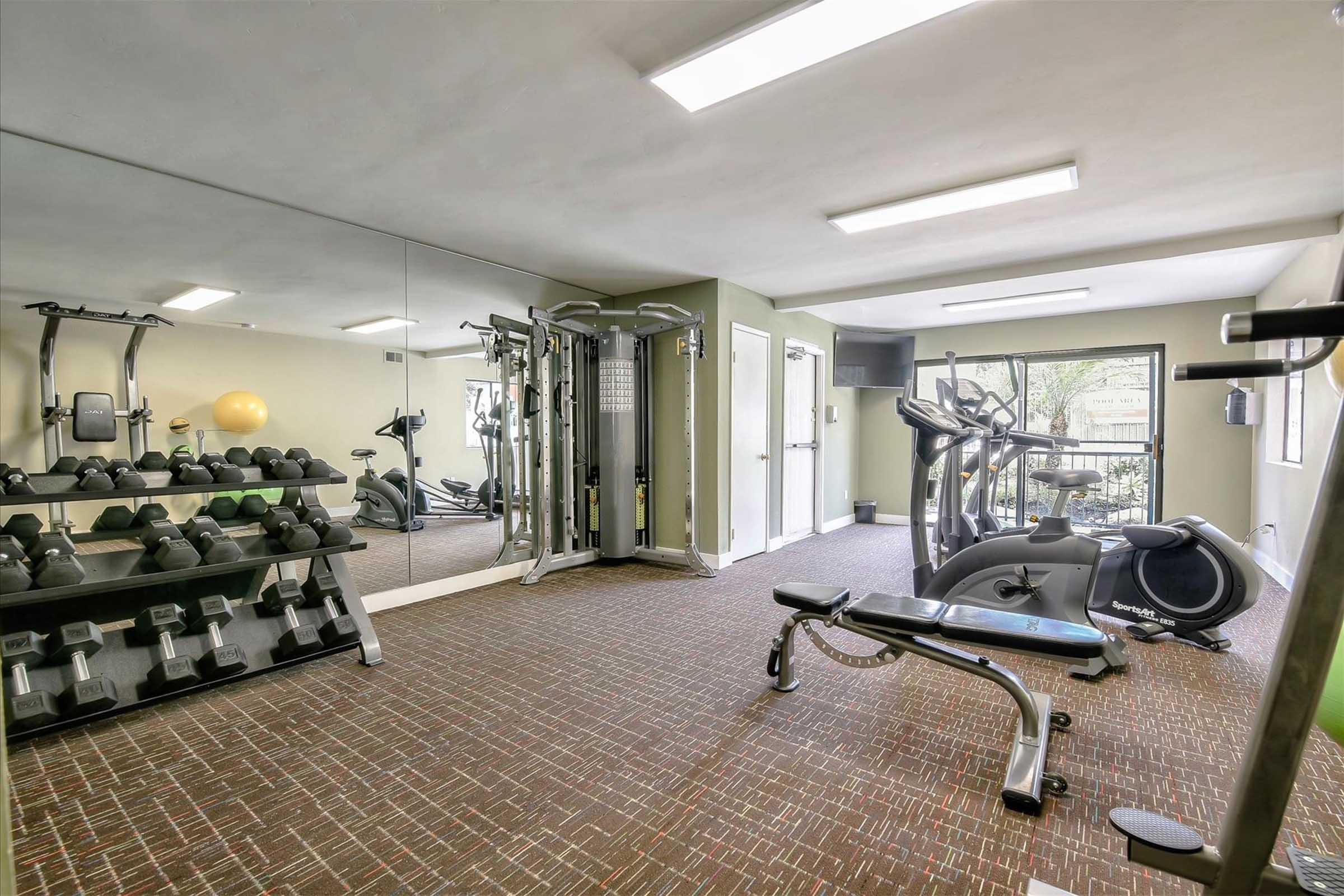 A well-equipped gym featuring a variety of exercise machines, free weights on a rack, and an exercise ball. Large mirrors and bright overhead lighting enhance the space, while large windows provide natural light, creating an inviting atmosphere for workouts.