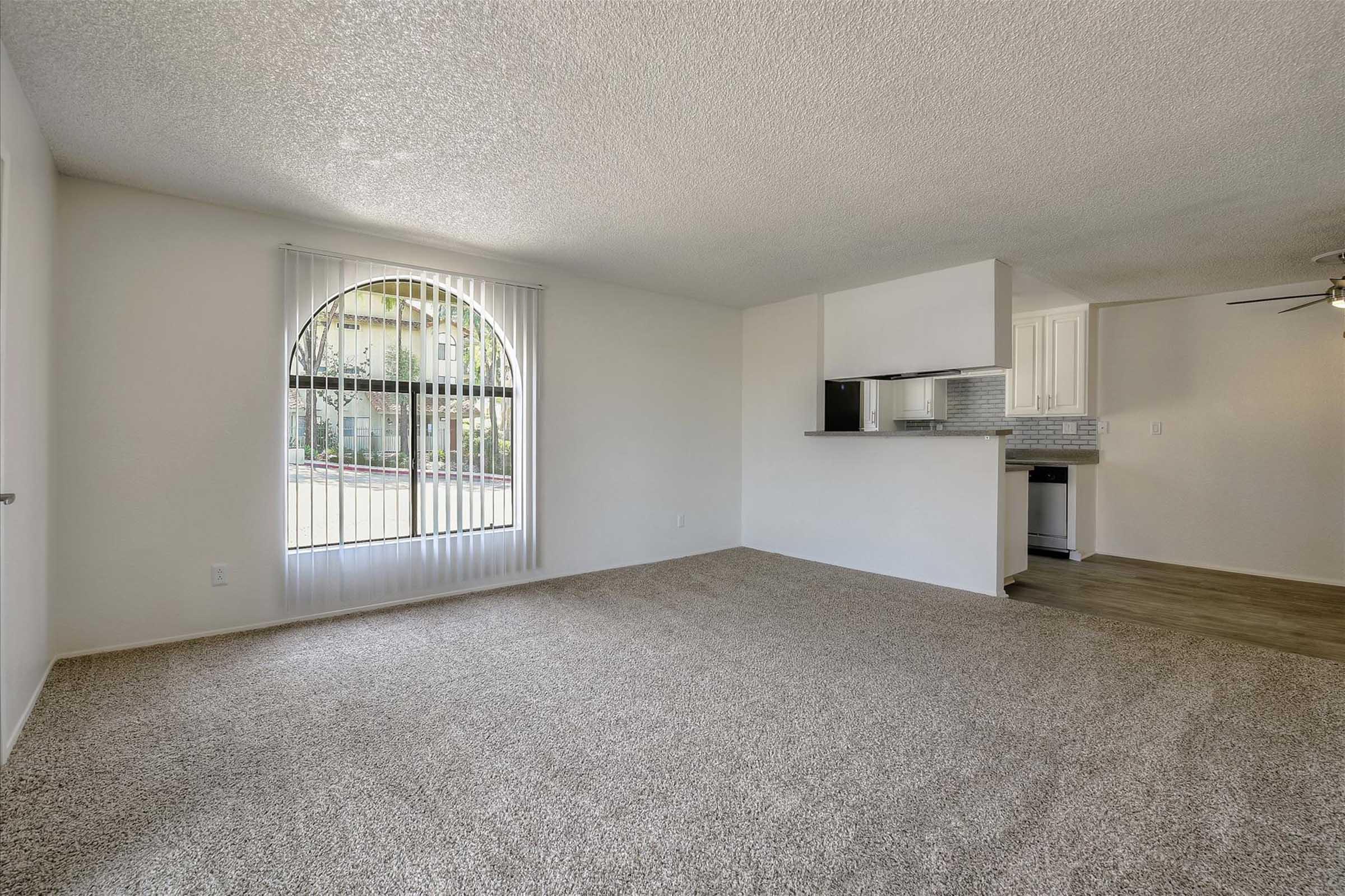 A spacious, light-filled living room with beige carpet, featuring a large arched window with vertical blinds. The room opens to a modern kitchen area equipped with stainless steel appliances and white cabinetry. Soft lighting and neutral tones create a welcoming atmosphere.
