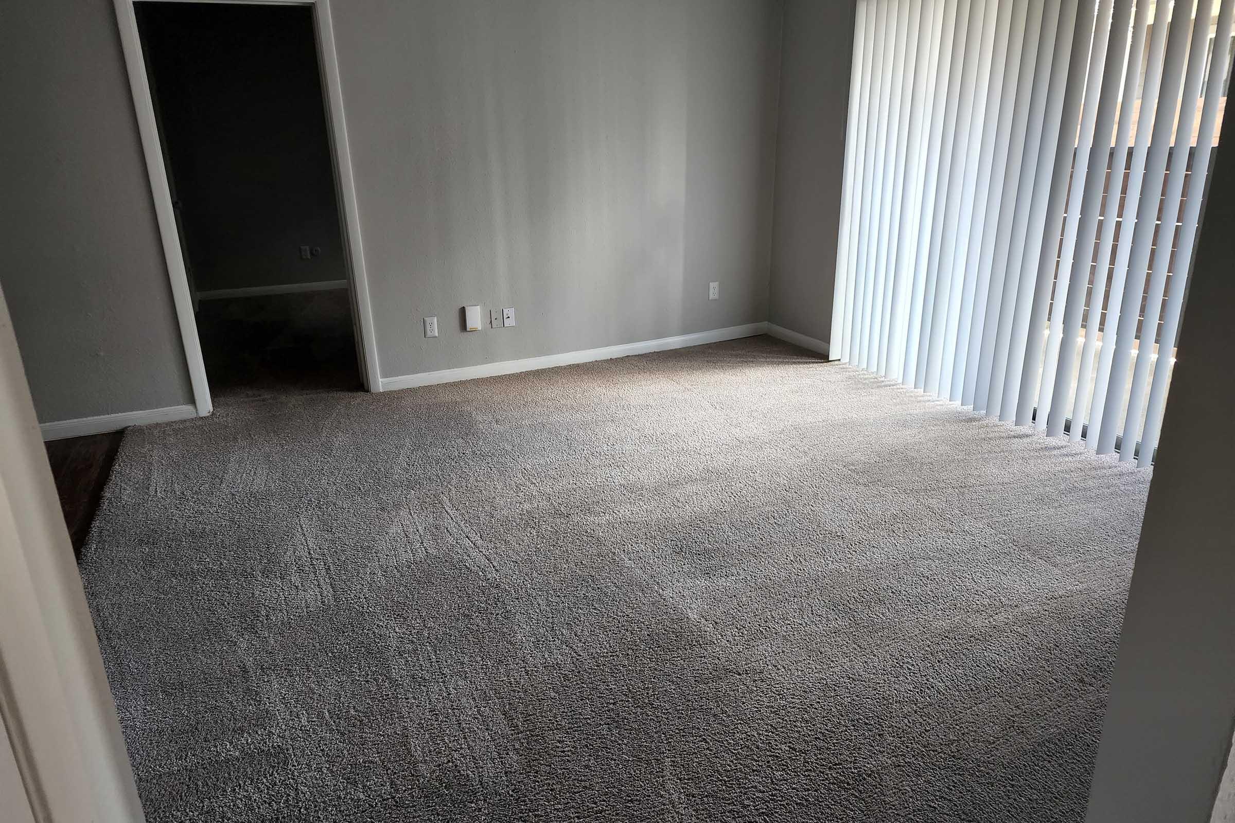 A spacious, empty room with light gray walls and beige carpet. One wall features vertical blinds allowing natural light to enter. A doorway leads to another room, and the space is tidy with minimal decoration, creating a clean and open atmosphere.