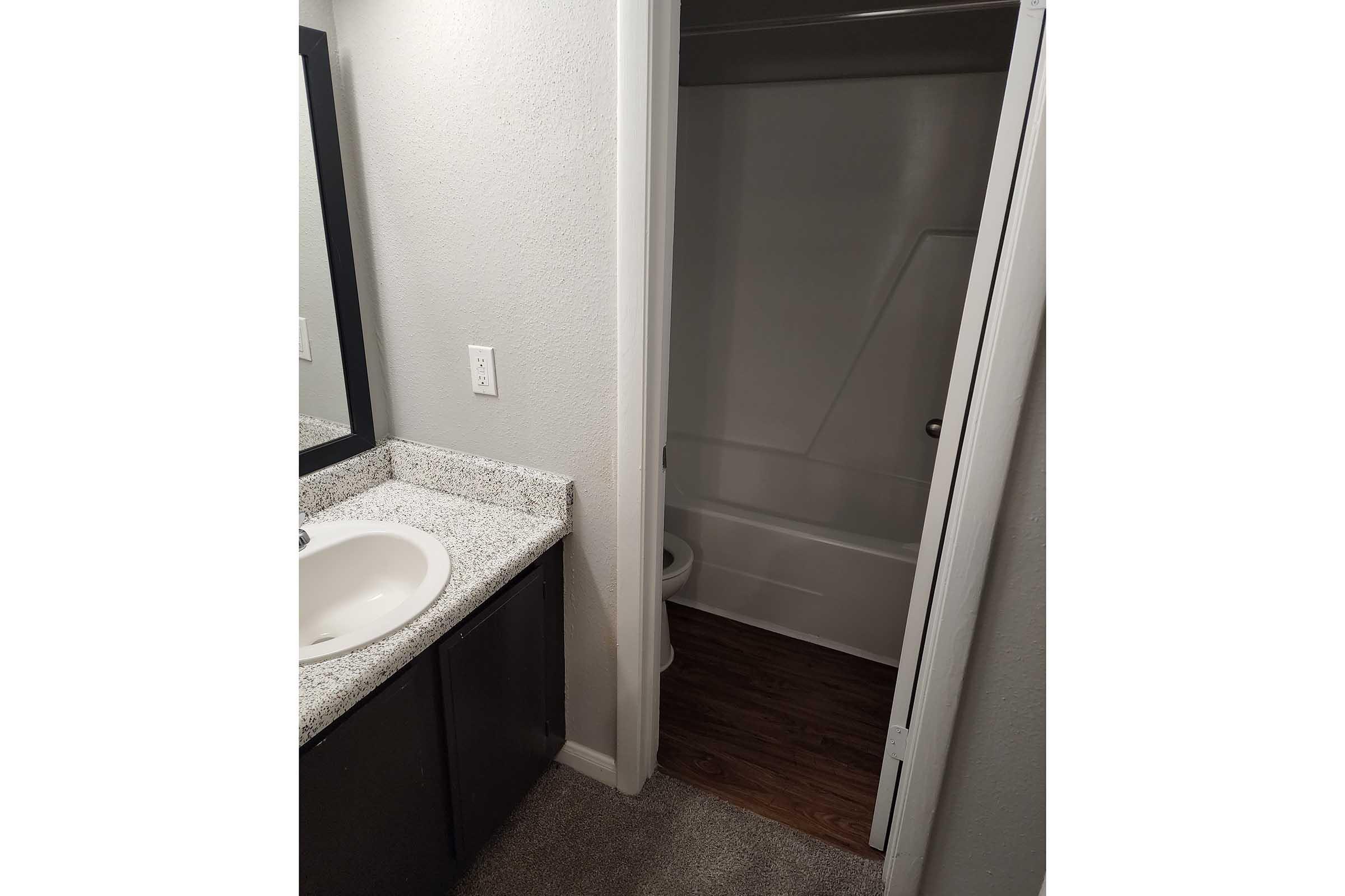 A small bathroom featuring a sink with a granite countertop, a wall mirror, and a separate shower area. The bathroom has light gray walls and a door leading to a toilet area, with flooring that appears to be wood. The space is well-lit and clean.