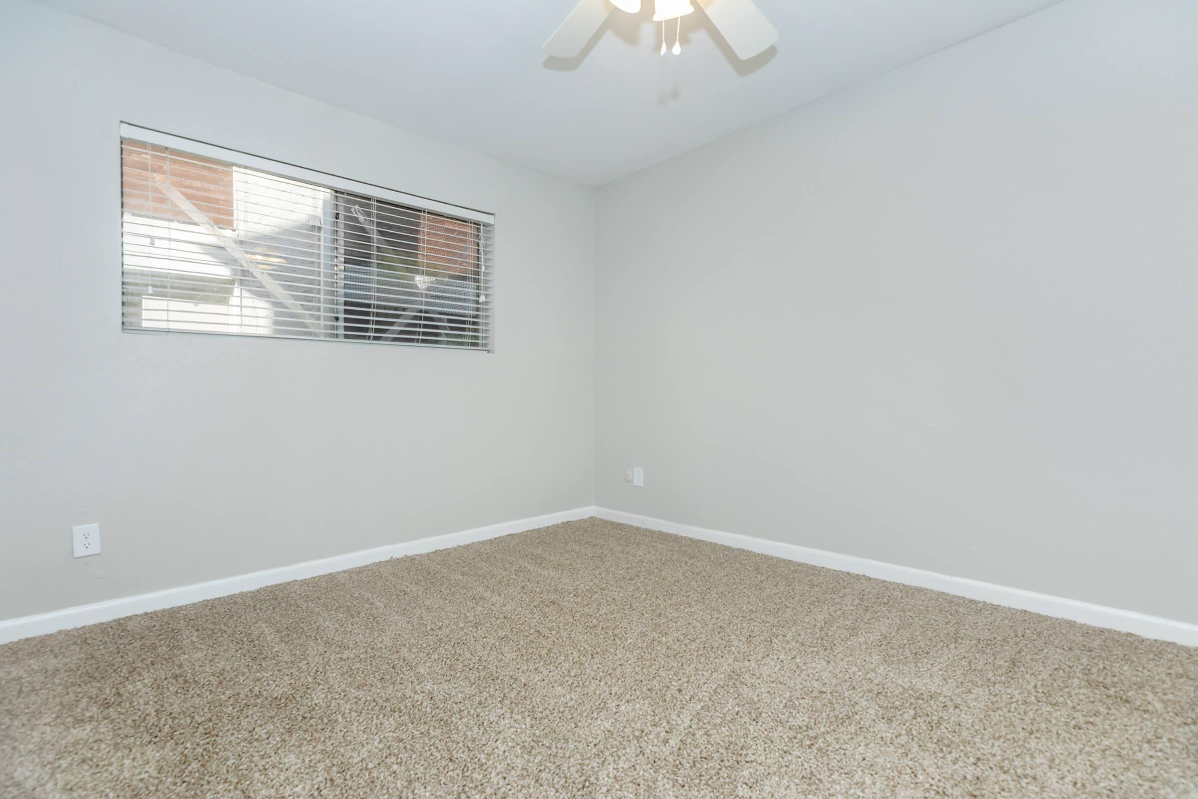 PLUSH CARPETING AND CEILING FAN IN BEDROOM