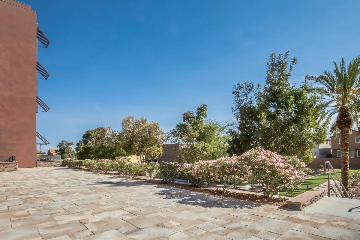 BEAUTIFUL LANDSCAPING AT ECHELON AT CENTENNIAL HILLS IN LAS VEGAS