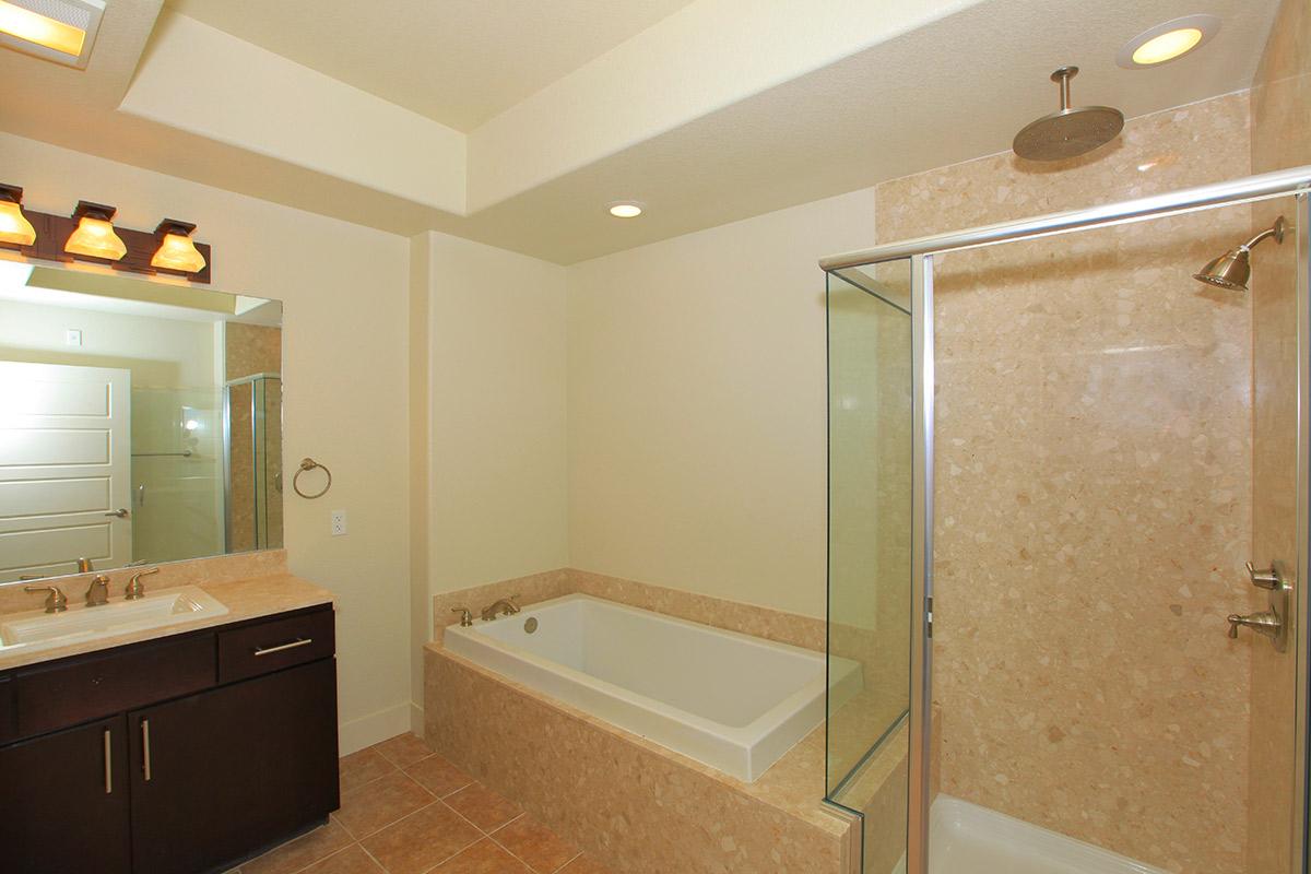 a shower that has a sink and a mirror