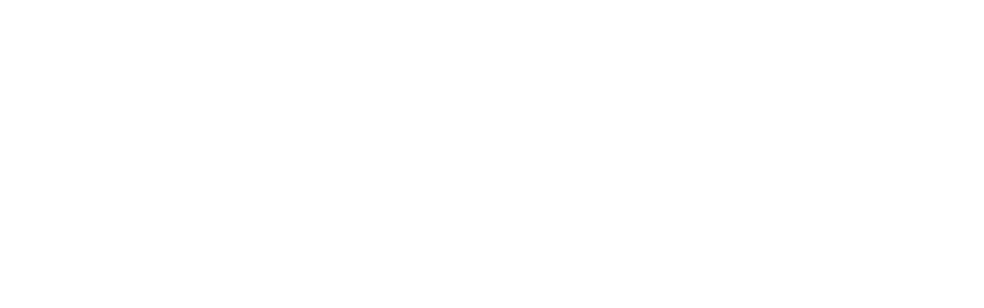 Vivo Living Charlotte University ebrochure logo