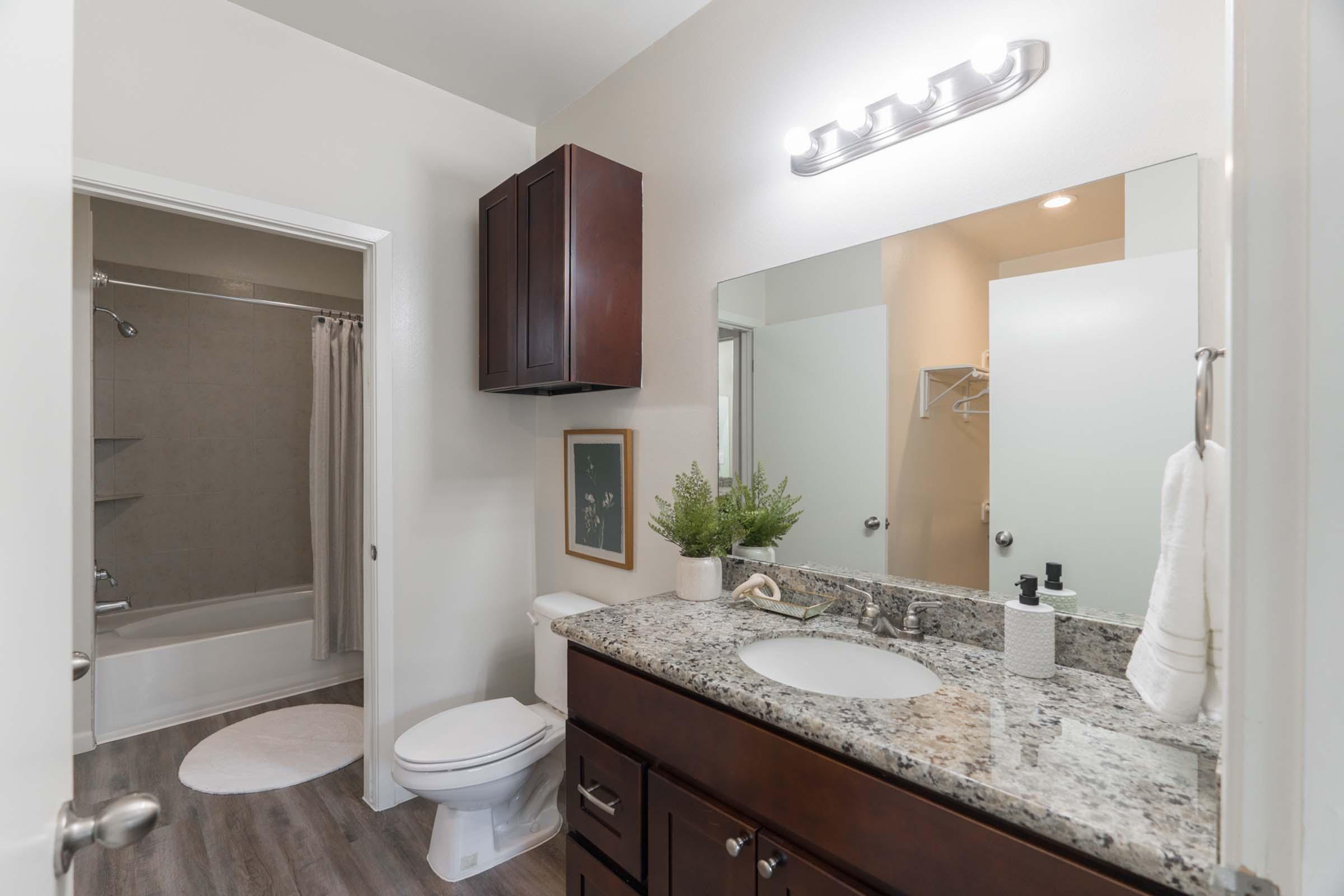 A modern bathroom featuring a granite countertop with a sink, a large mirror, and dark wooden cabinetry. A shower/tub combo is visible behind a curtain, while a white circular rug is on the floor. A small potted plant and toiletries are arranged neatly on the counter. Soft lighting creates a welcoming ambiance.