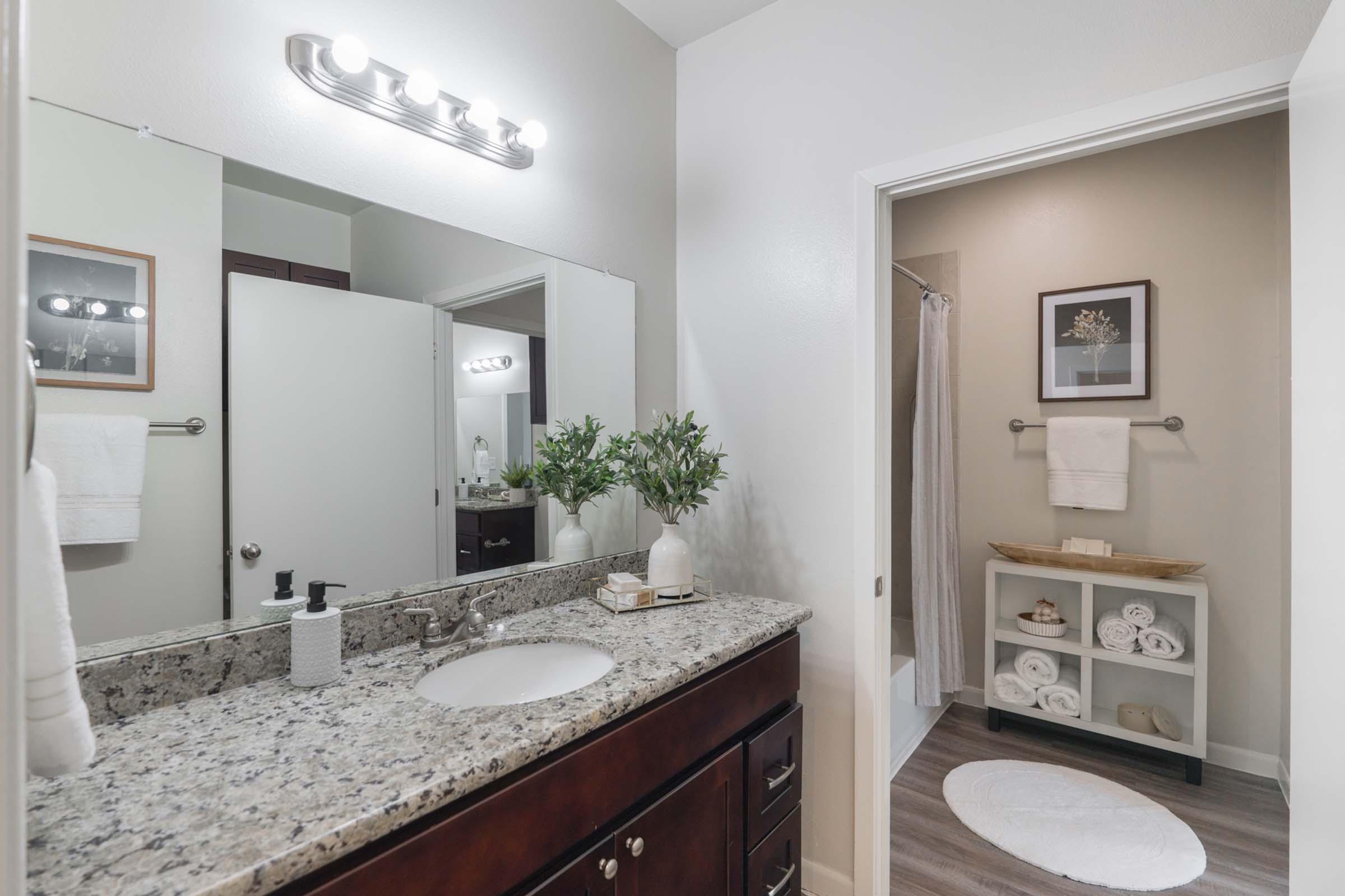 A modern bathroom featuring a dark wood vanity with a granite countertop, a round rug, and a sink with a soap dispenser. There are neatly rolled towels on a shelf, and a shower area is visible in the background, along with framed wall art and soft lighting. Fresh greenery adds a touch of elegance.