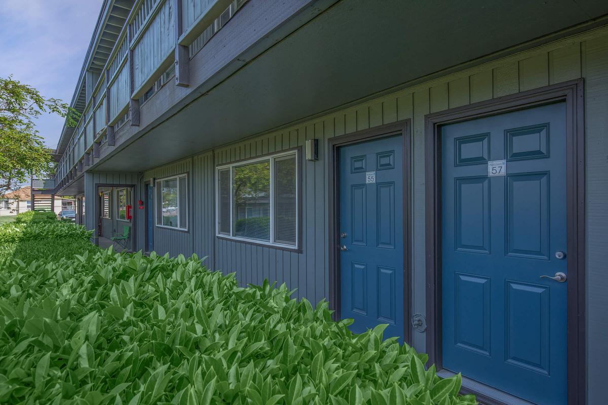 a house with trees in the background