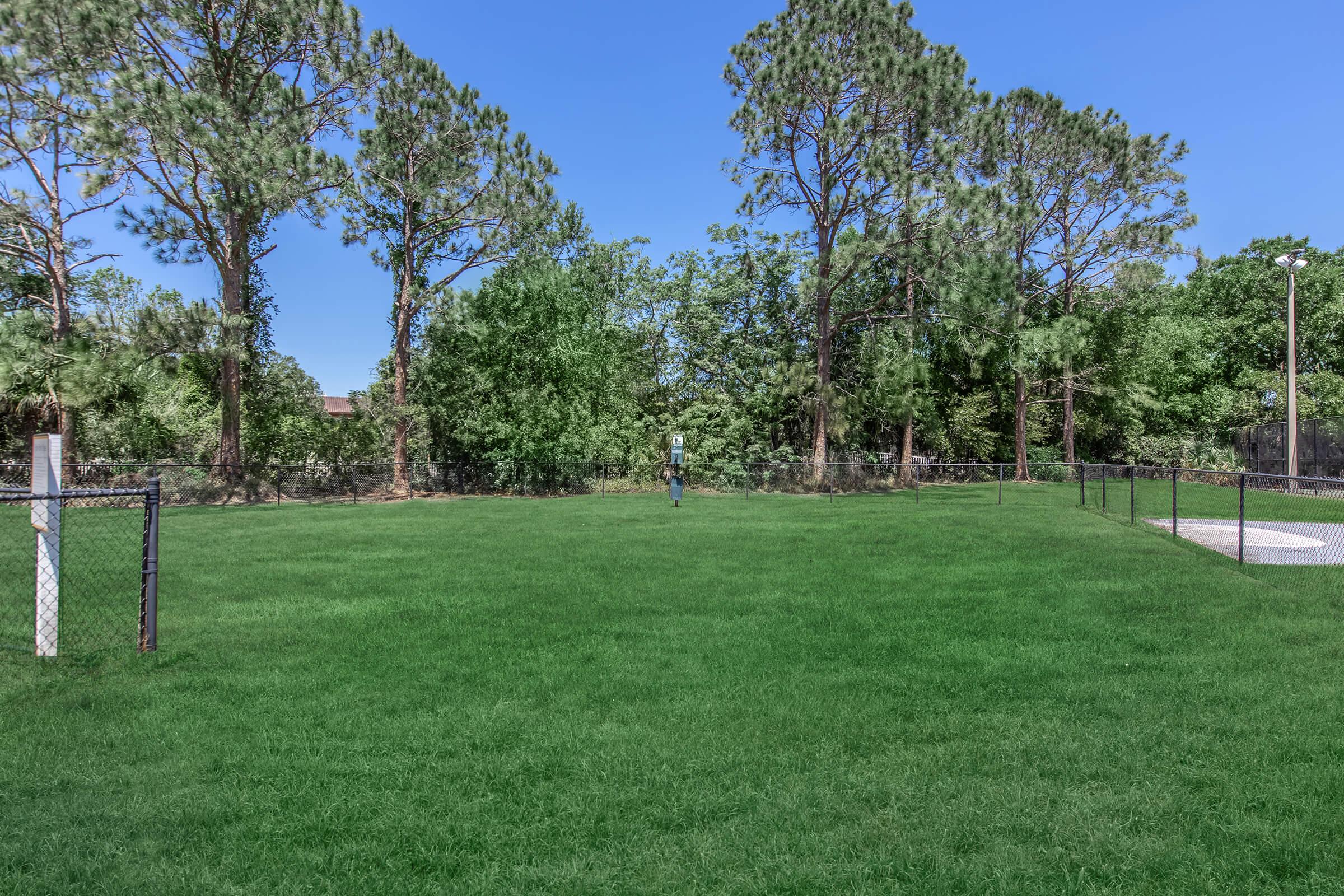 a large green field with trees in the background