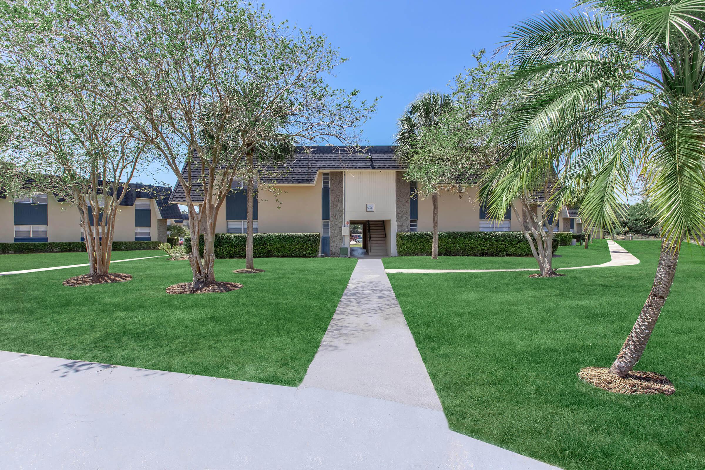 a large lawn in front of a tree