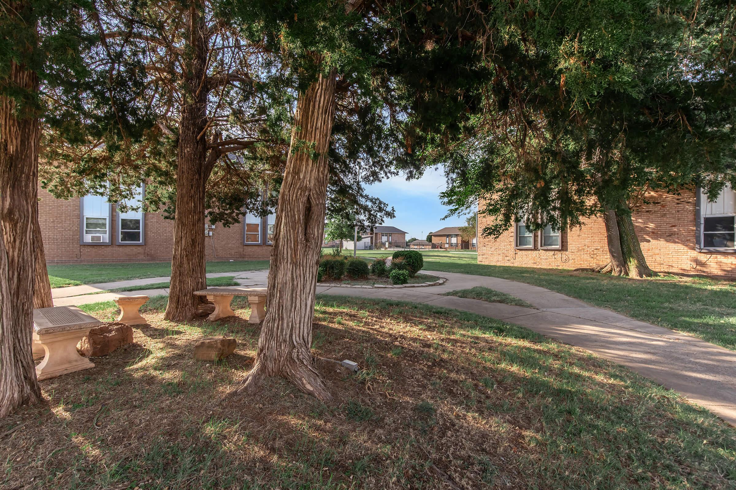A peaceful courtyard scene featuring two tall trees and a stone bench, with a winding path leading through a grassy area. In the background, there are brick buildings with windows, and soft sunlight illuminates the space, creating a serene atmosphere.