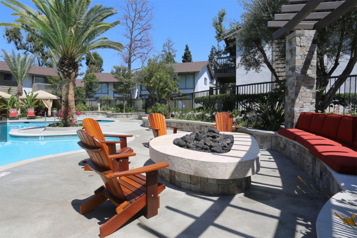 a pool next to a palm tree