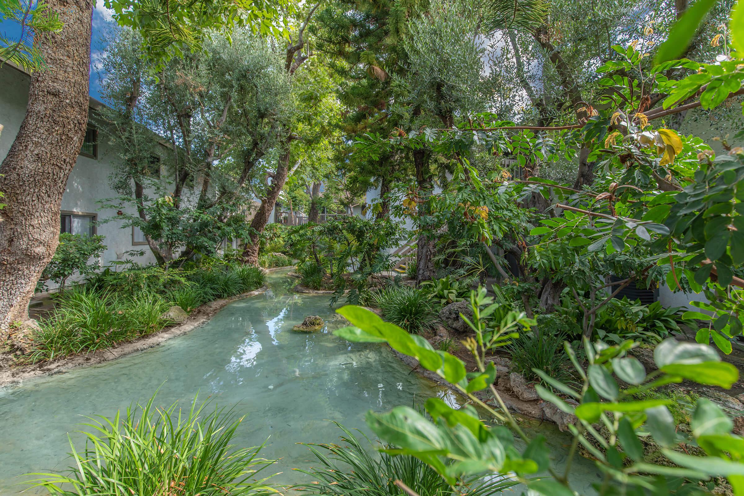 greenery surrounding the pond