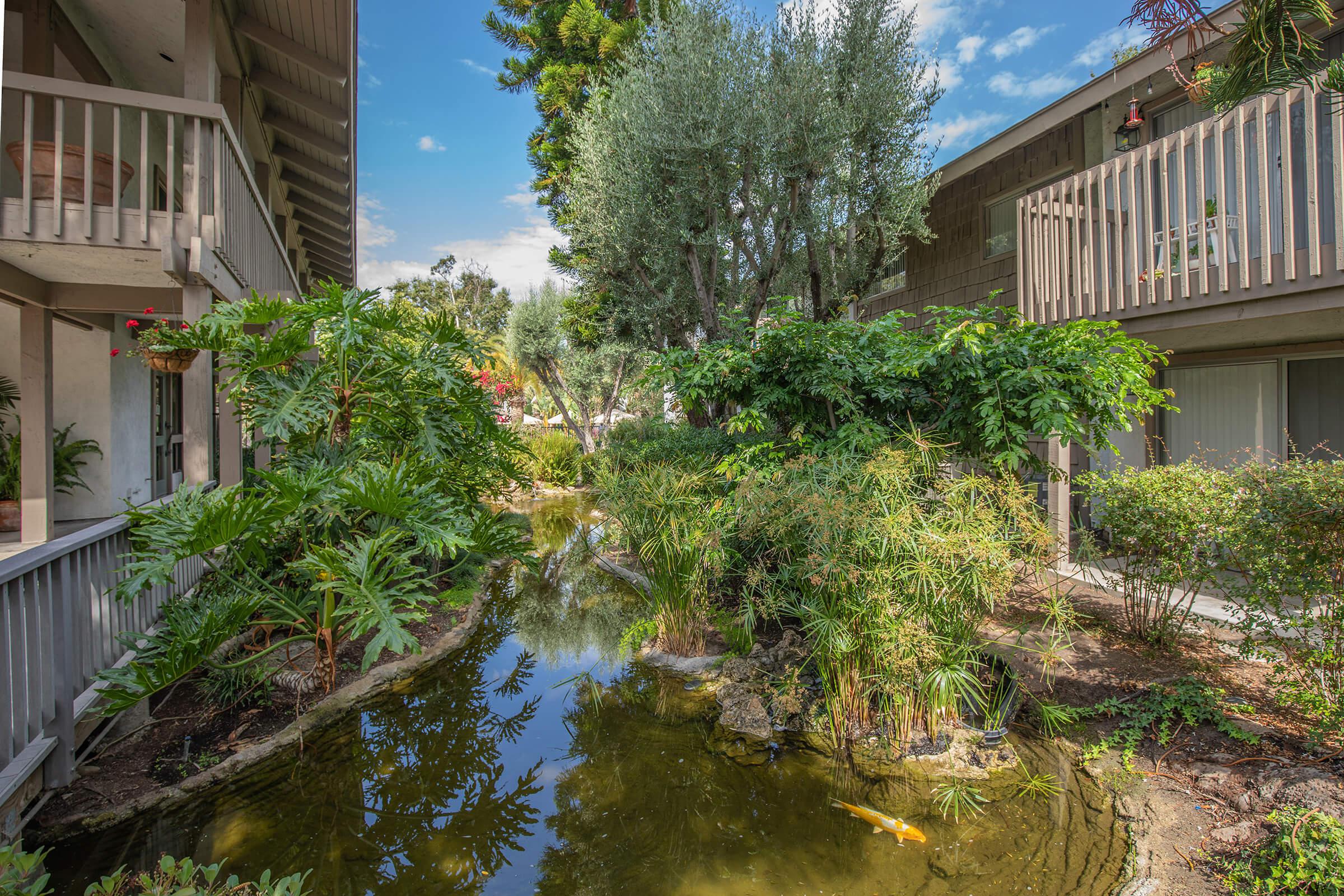 green plants next to the community creek