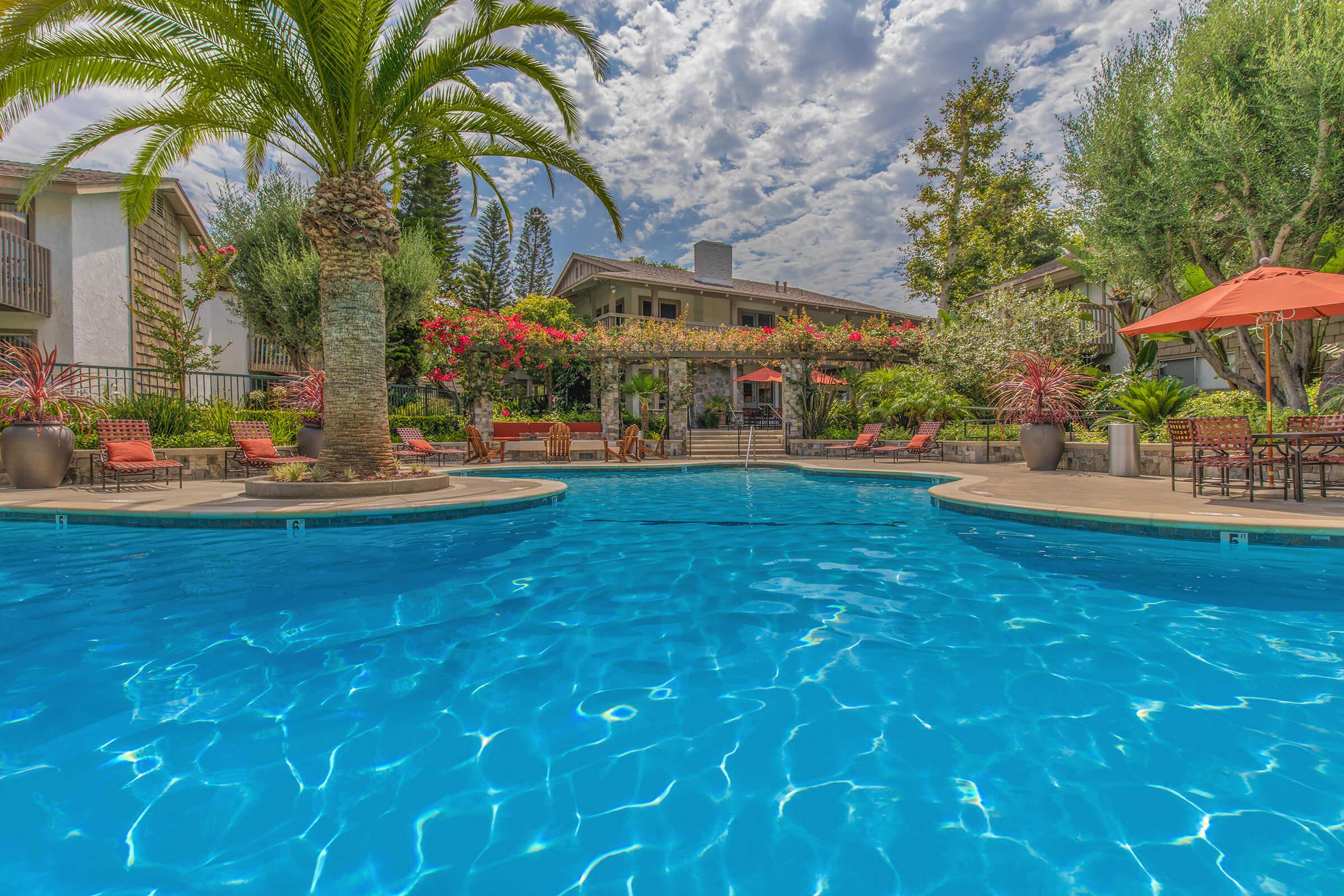 community pool with green trees