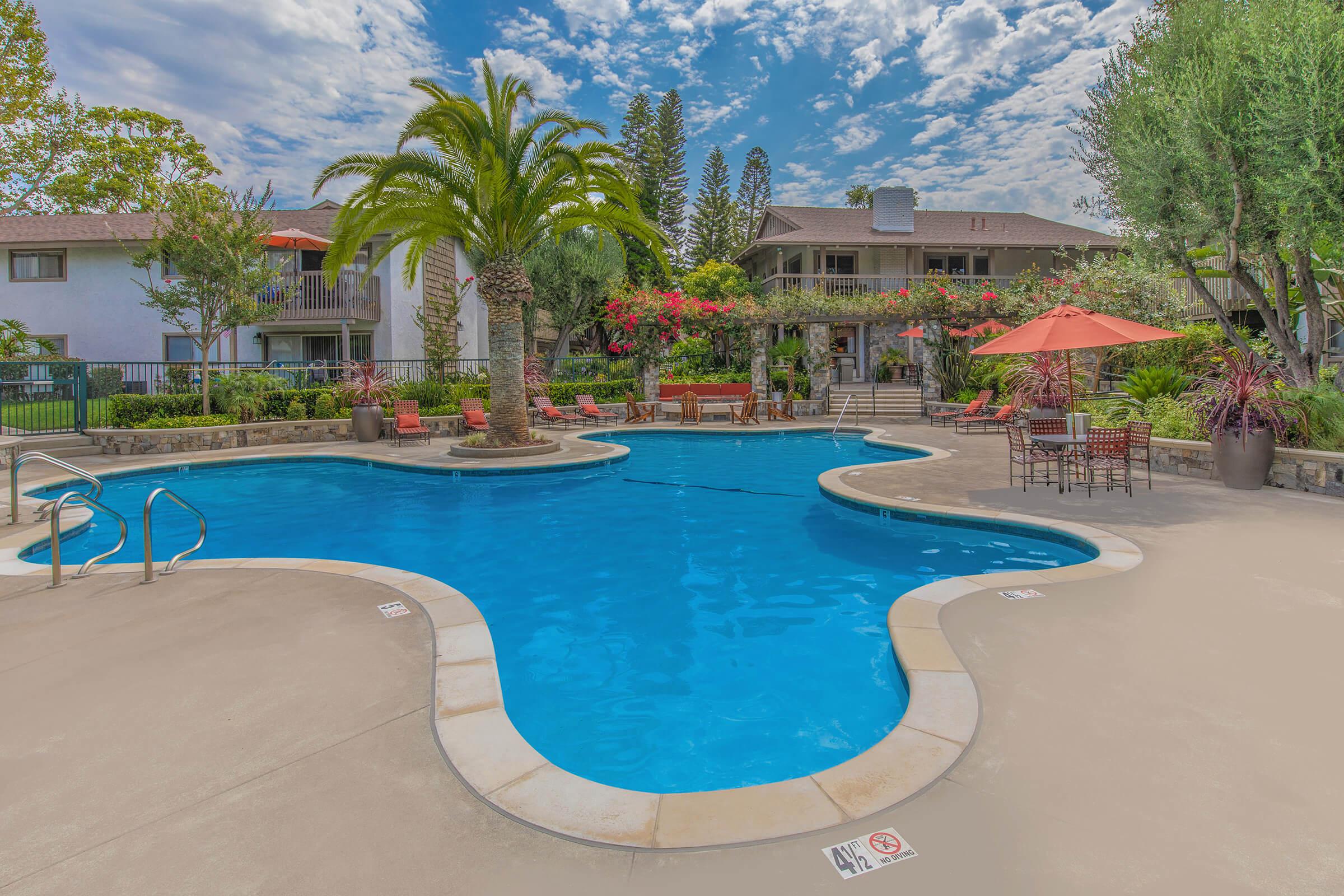 Moss Creek Apartments community pool with green trees