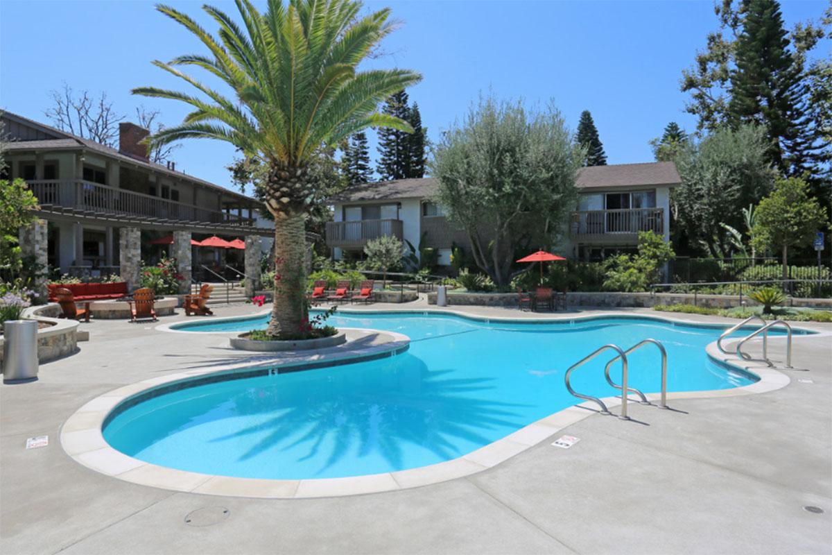 a group of palm trees next to a swimming pool