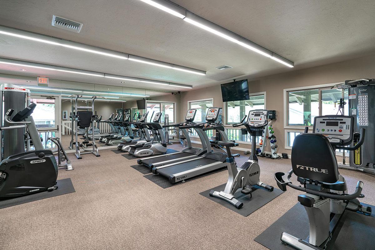 a room filled with furniture and a tv