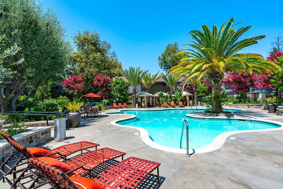a group of lawn chairs sitting on top of a pool